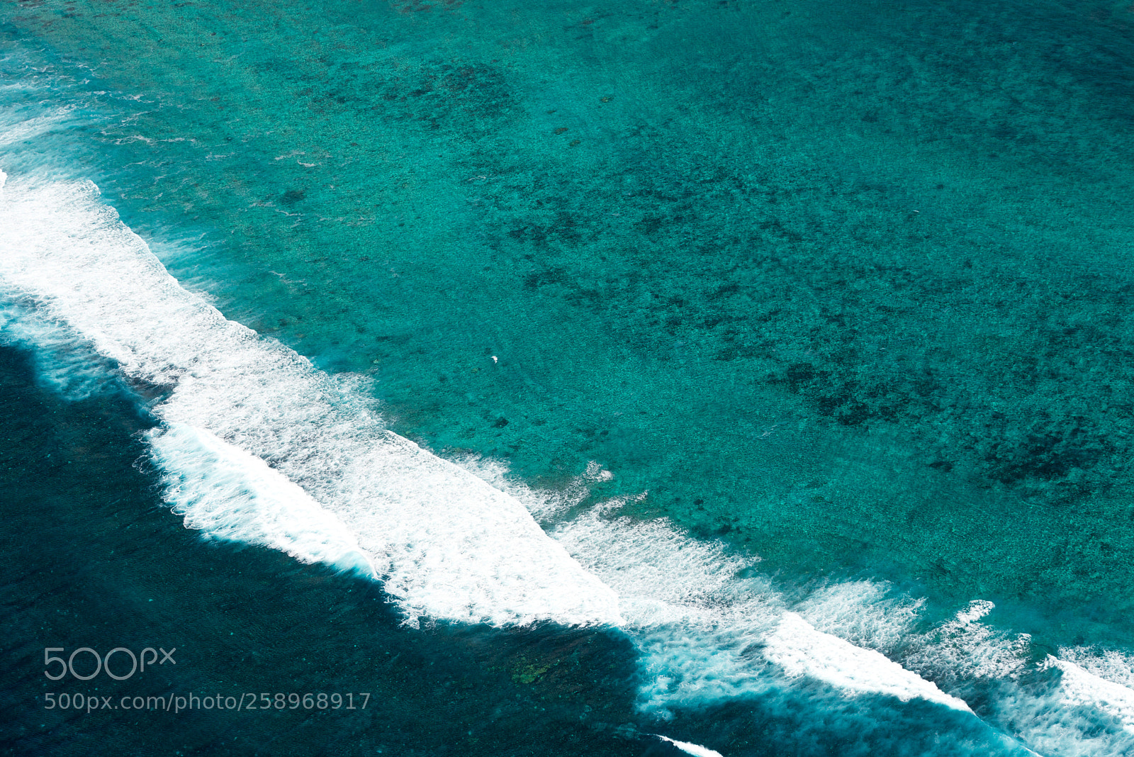 Nikon D800 sample photo. Aerial 012 photography