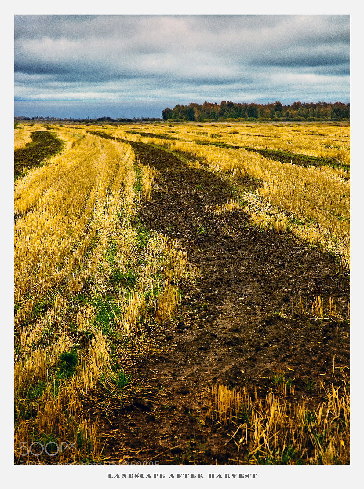 Nikon D70 sample photo. Landscape after harvest photography