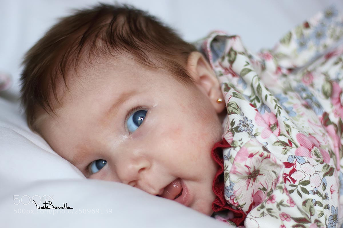 Canon EOS 70D sample photo. Mara () photography