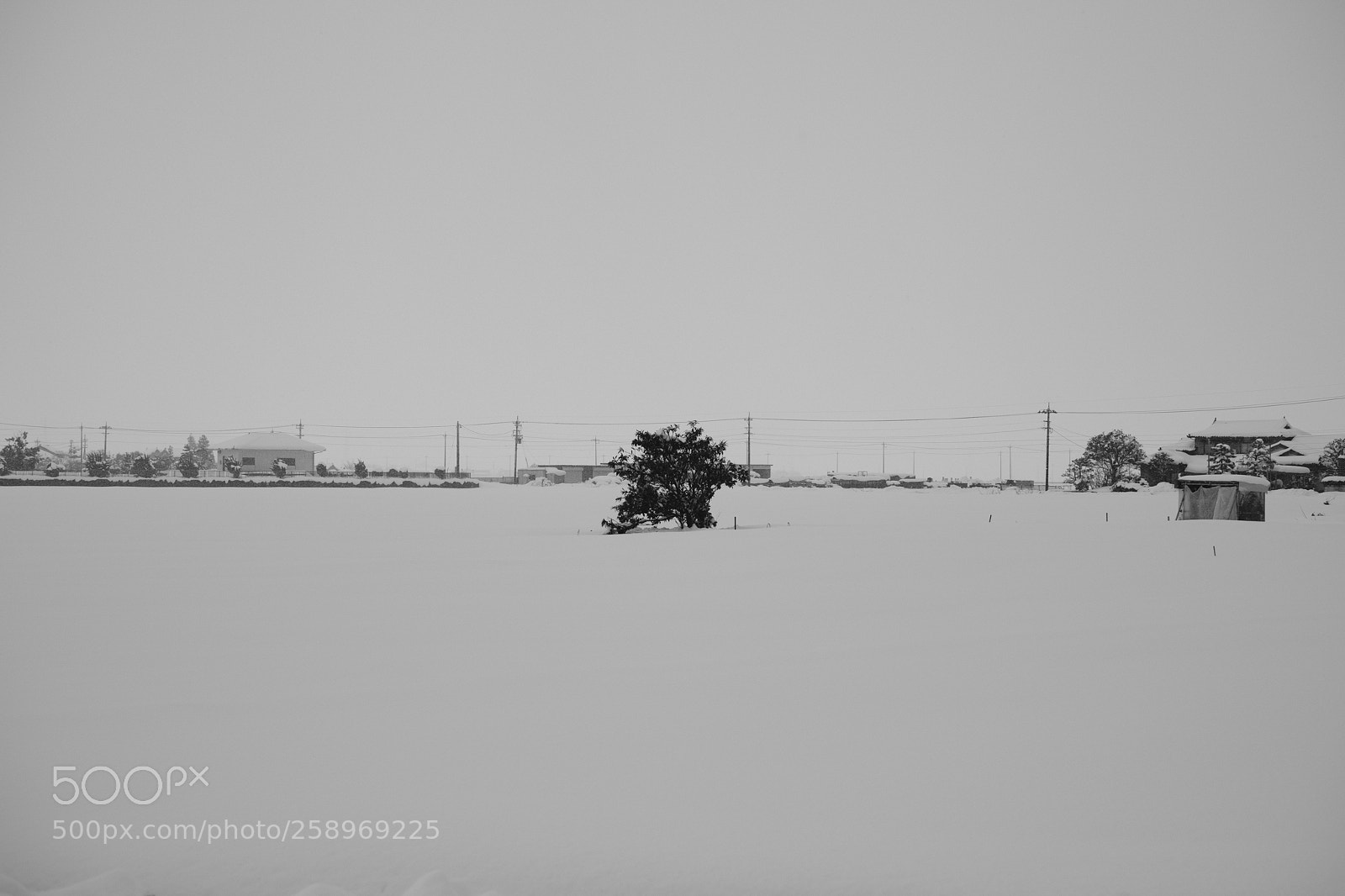 Fujifilm X-Pro2 sample photo. Untitled photography