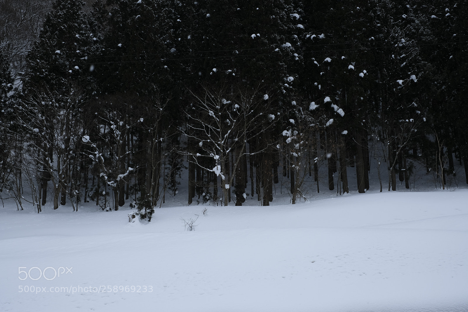 Fujifilm X-Pro2 sample photo. Untitled photography