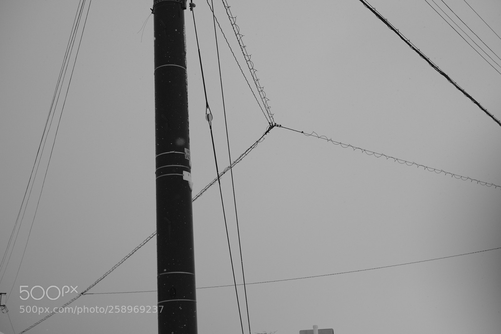 Fujifilm X-Pro2 sample photo. Untitled photography
