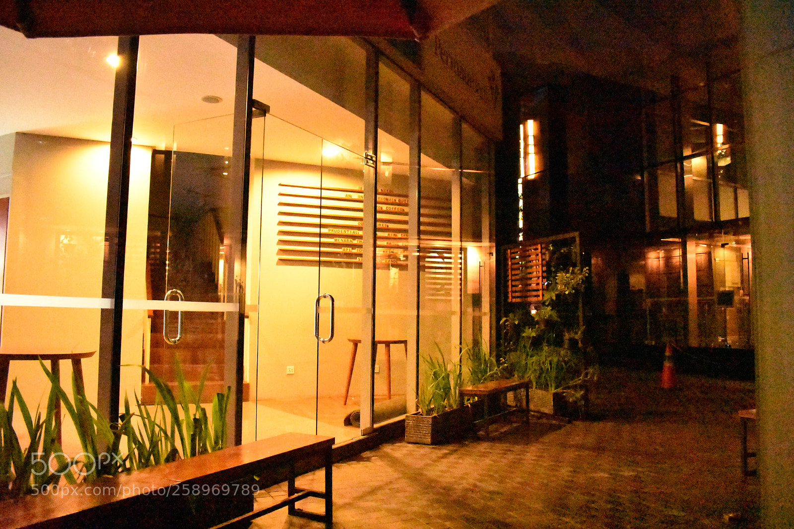 Nikon D3400 sample photo. ❲night walk❳ photography