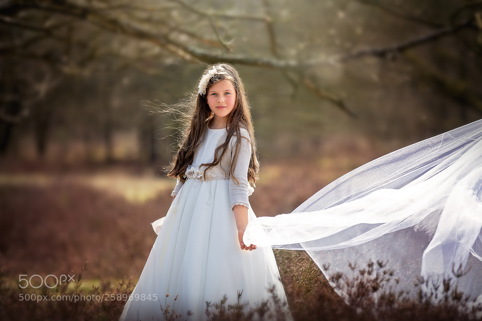 Canon EOS 5D Mark IV sample photo. Princess in the forest photography