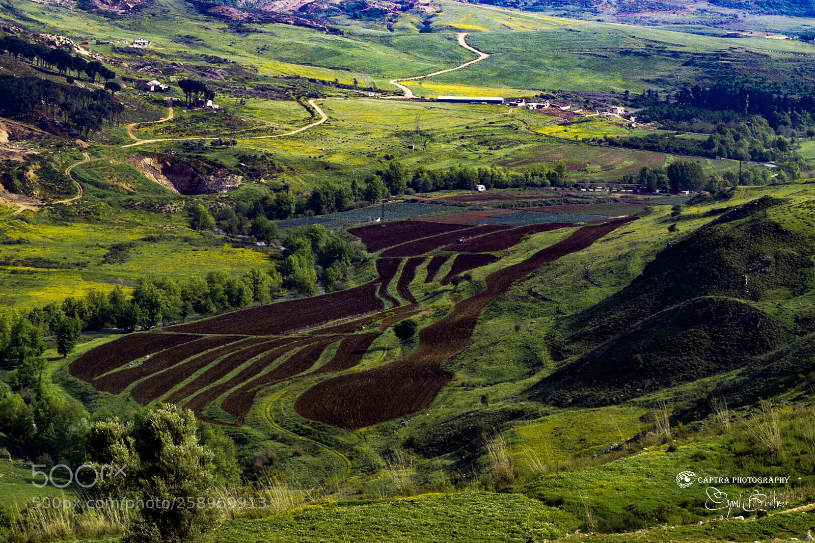 Nikon D5300 sample photo. Rolling landscape photography