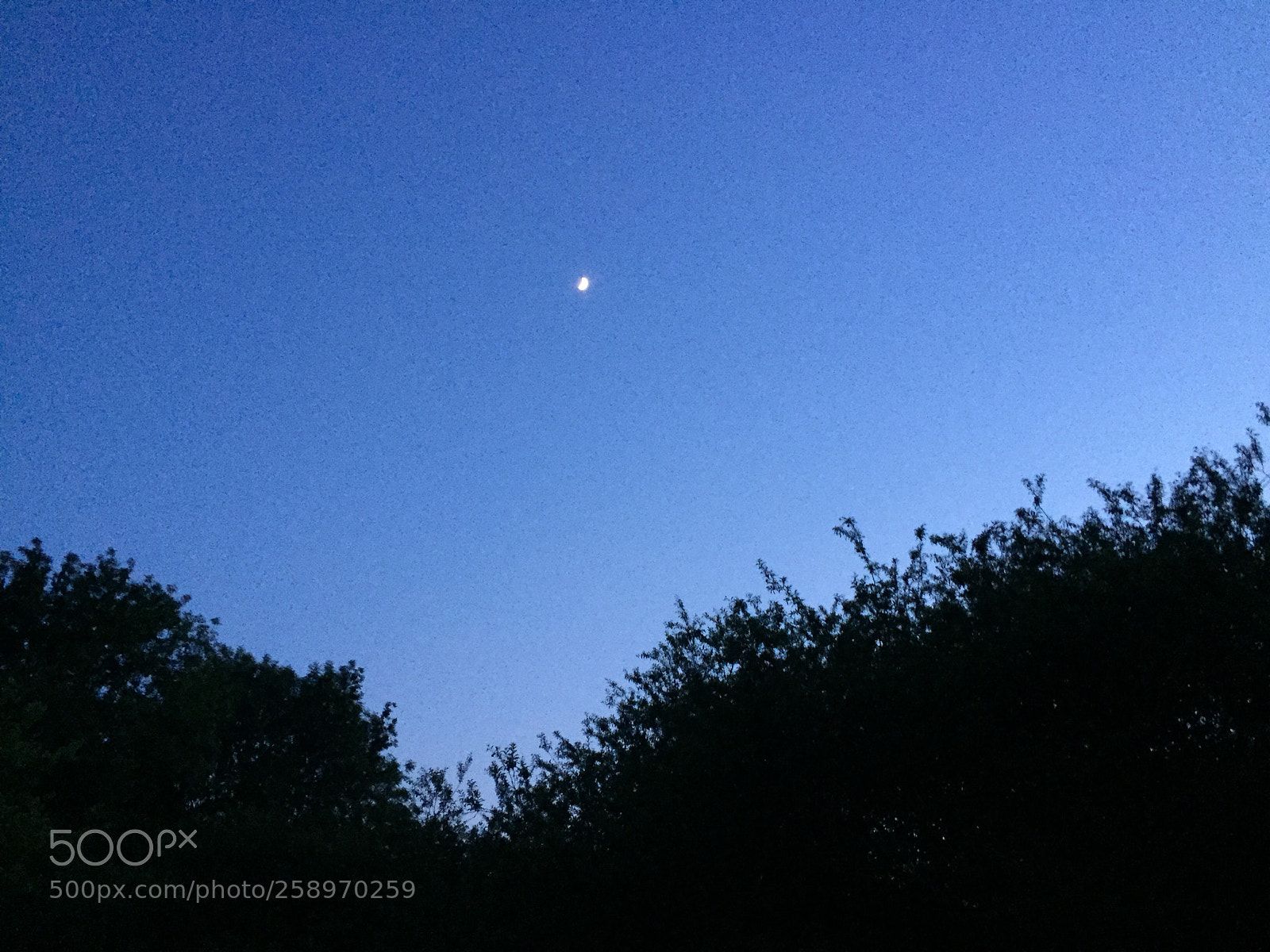 Apple iPhone 6 sample photo. Untitled photography