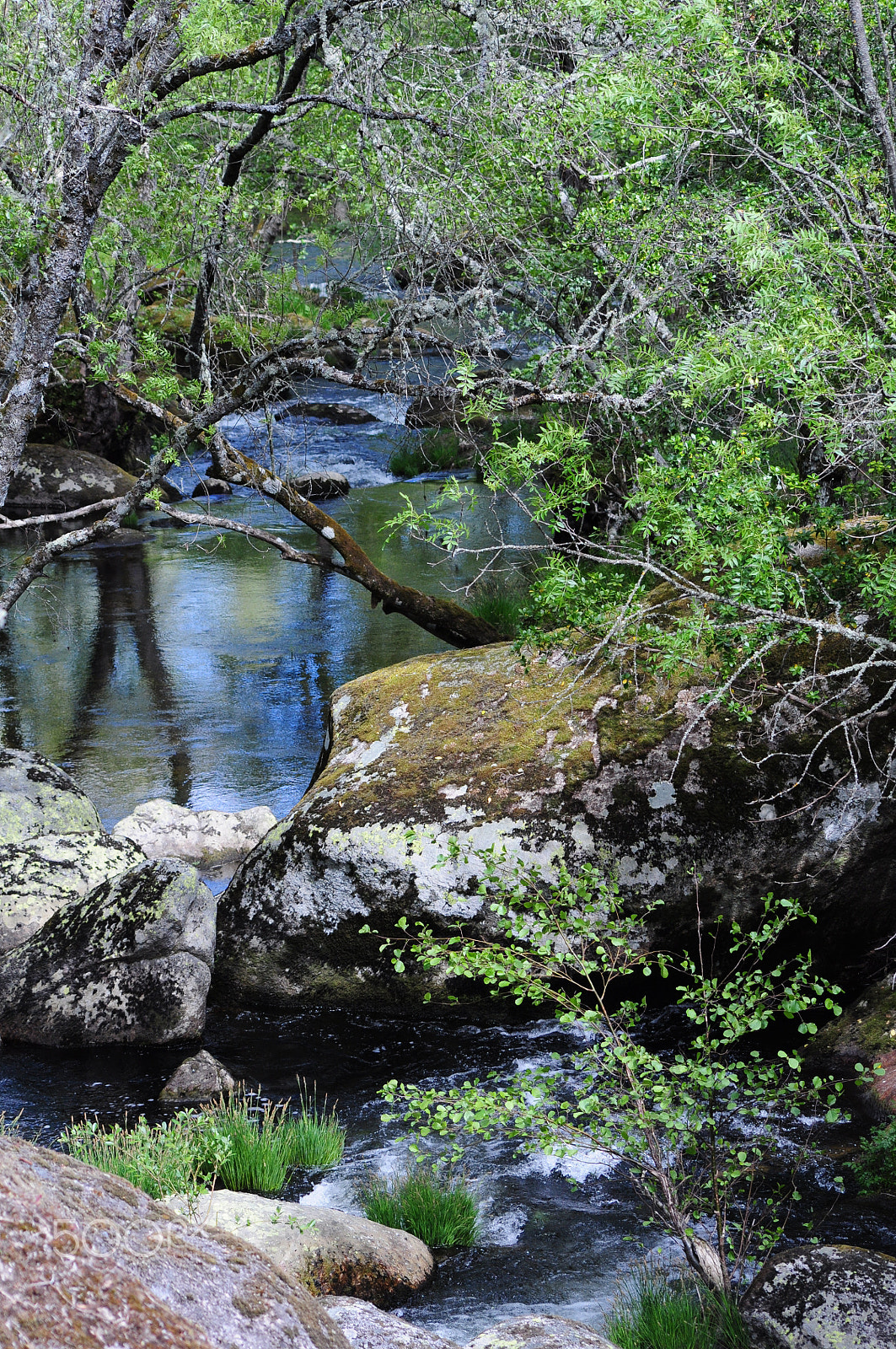 Nikon D90 sample photo. Búbal river from center of the world photography