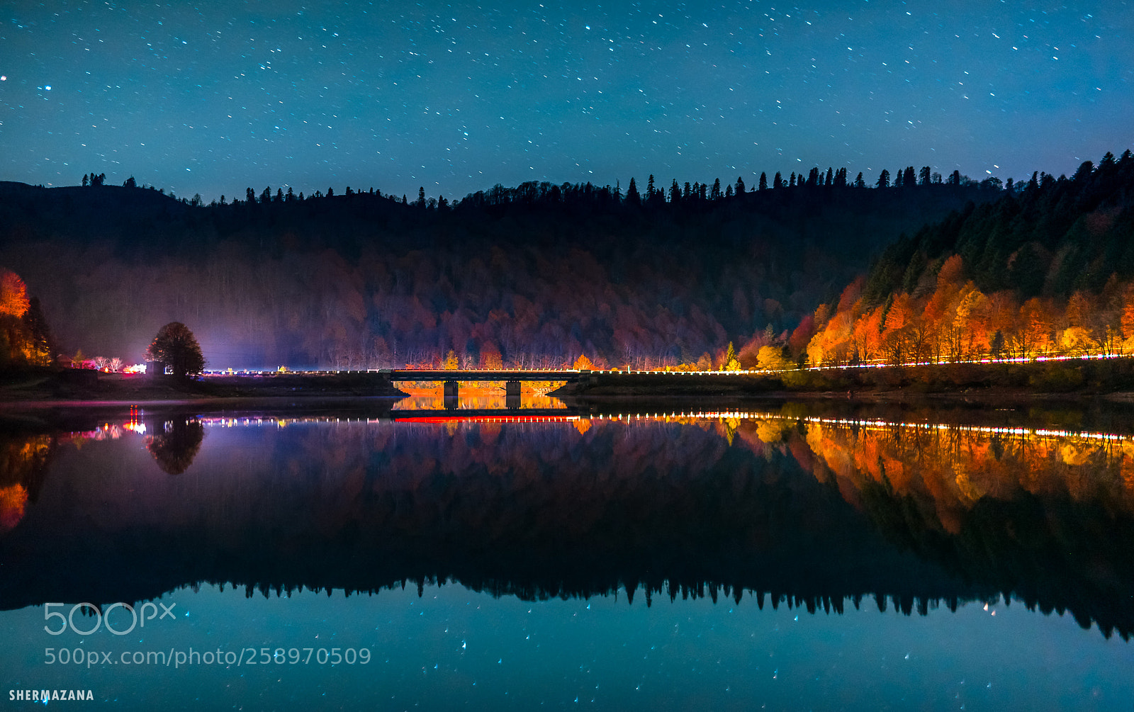 Nikon D750 sample photo. Night colors of shaori photography
