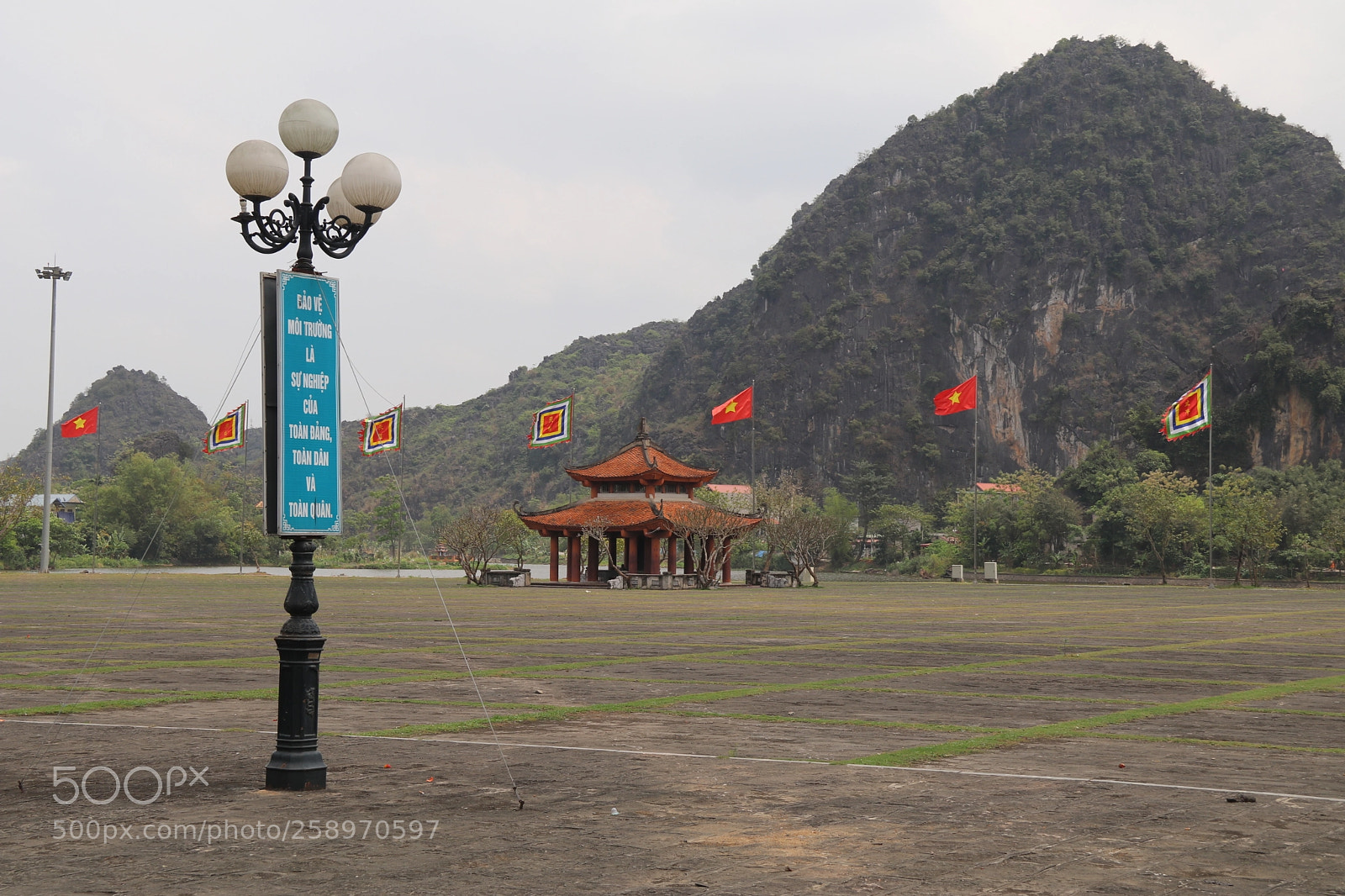 Canon EOS 80D sample photo. Hoa-lu-2018n.jpg photography