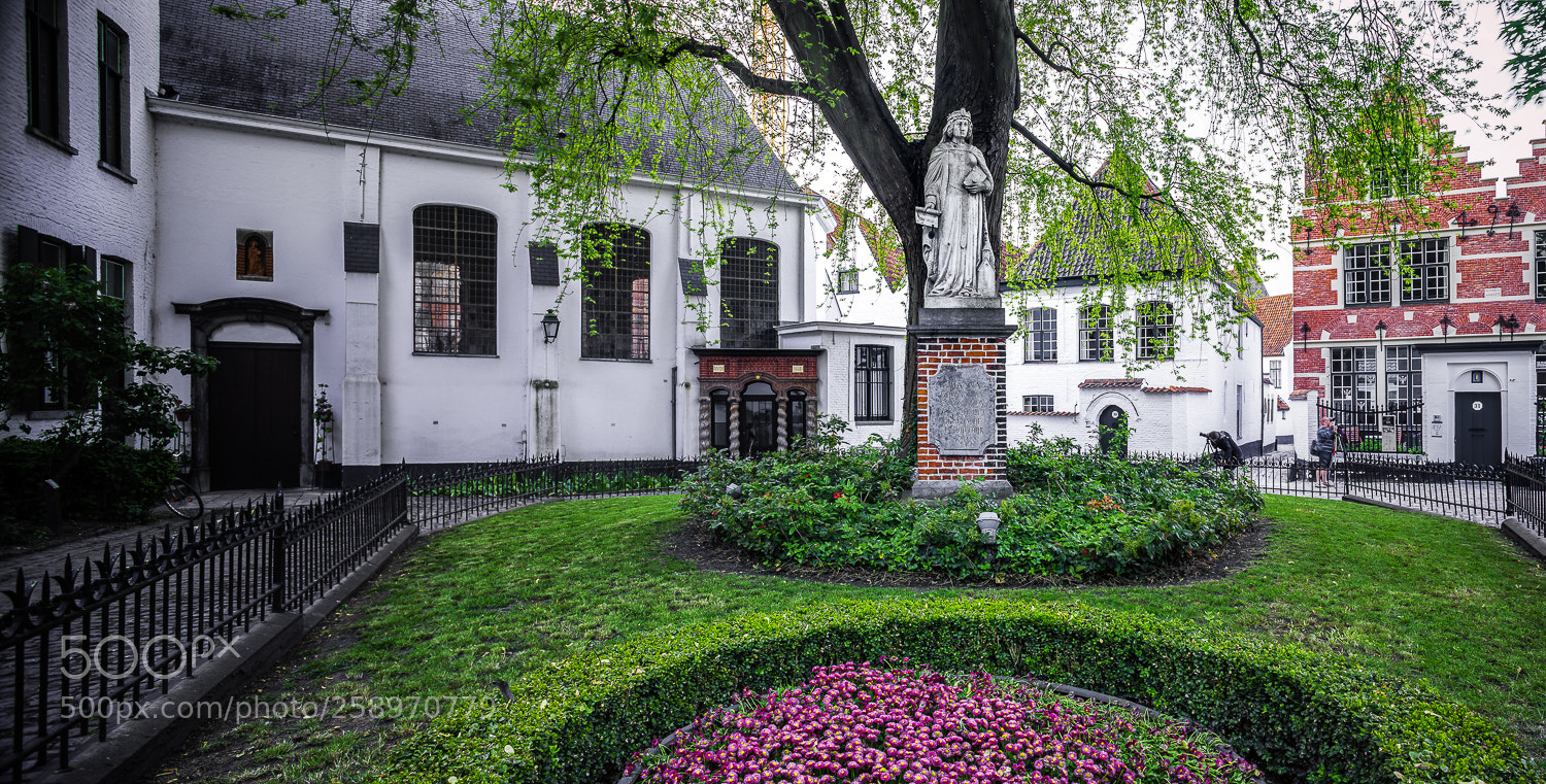 Canon EOS 5D Mark IV sample photo. Beggynhof of st. elizabeth photography