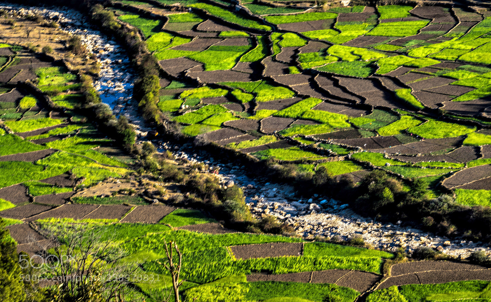 Sony a7R II sample photo. Mountain rice fields! photography
