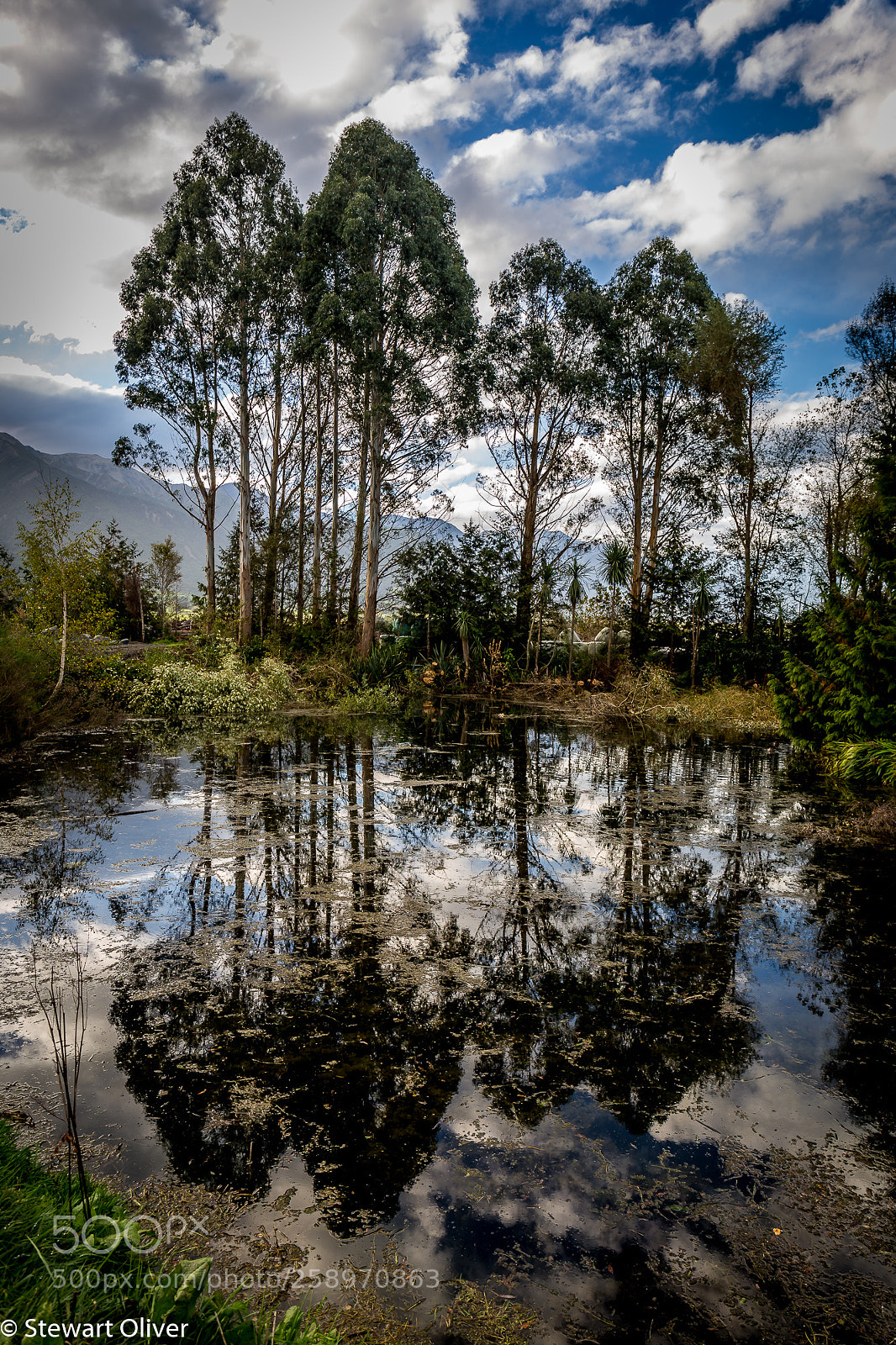Canon EOS 6D sample photo. Reflection #2 photography