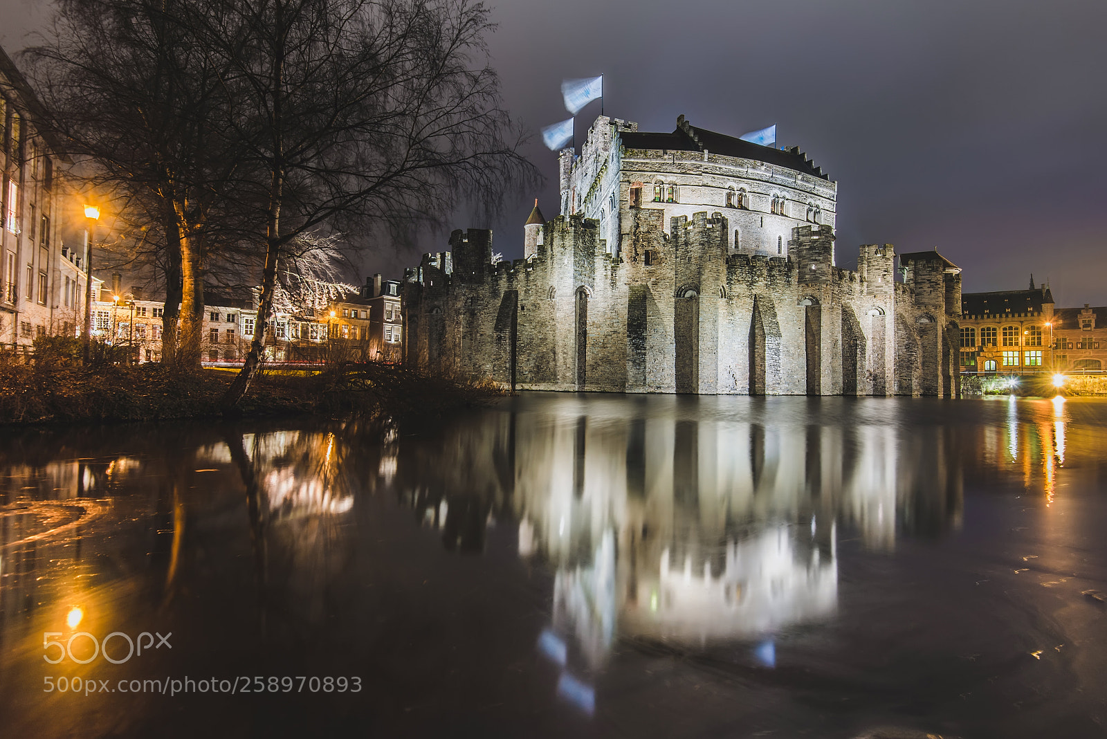 Nikon D600 sample photo. Night gravensteen castle in photography