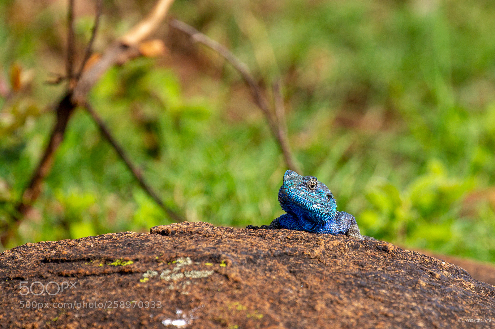 Canon EOS 7D sample photo. In the sunlight photography