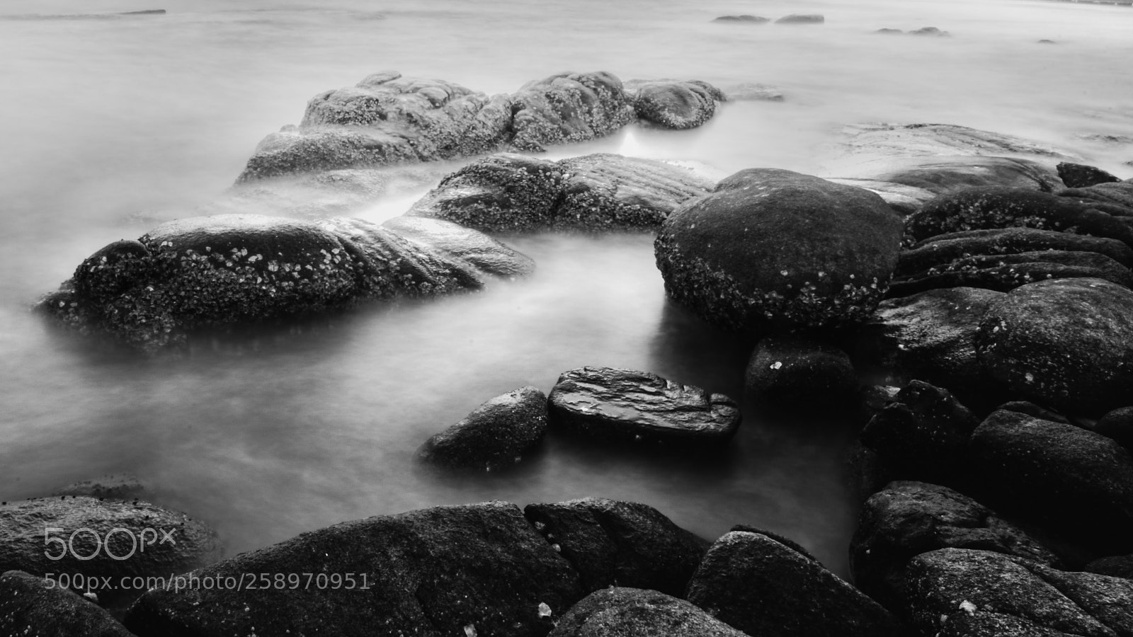 Nikon D750 sample photo. Silence sea photography
