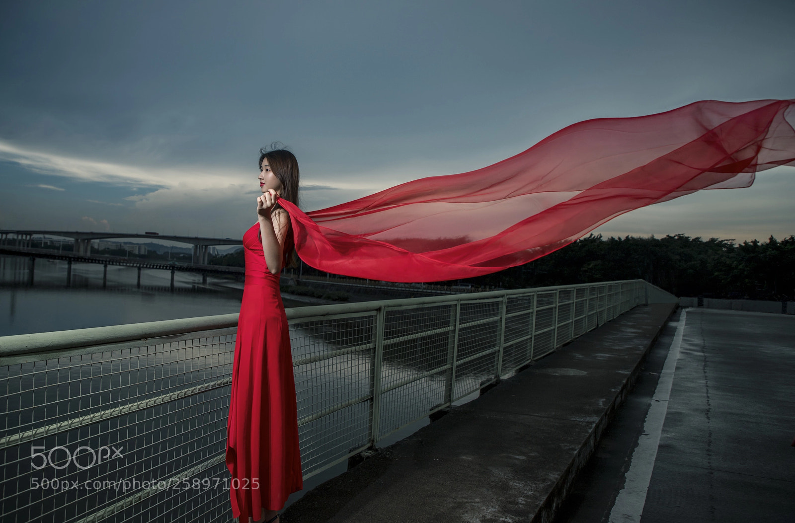 Canon EOS 6D Mark II sample photo. 雨后天晴 photography