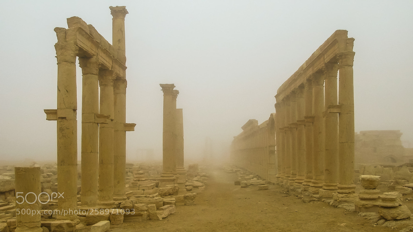 Canon POWERSHOT G9 sample photo. Palmyra columns in fog photography