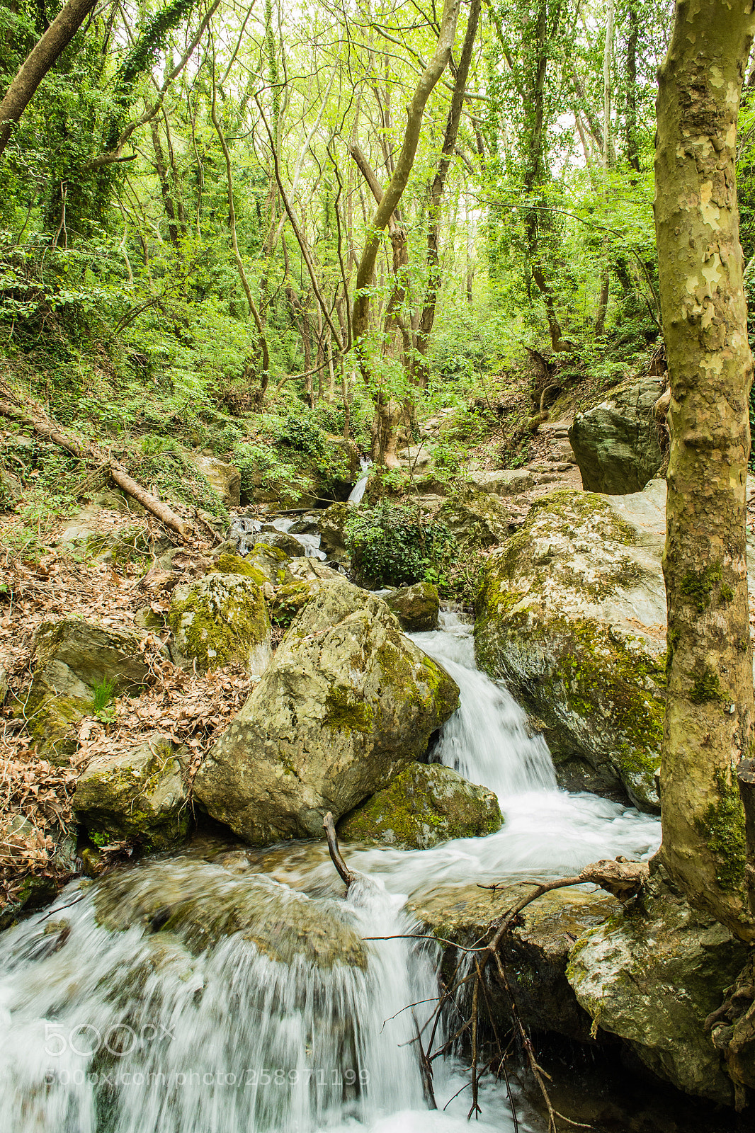 Nikon D3100 sample photo. Portaria - mana's spring photography