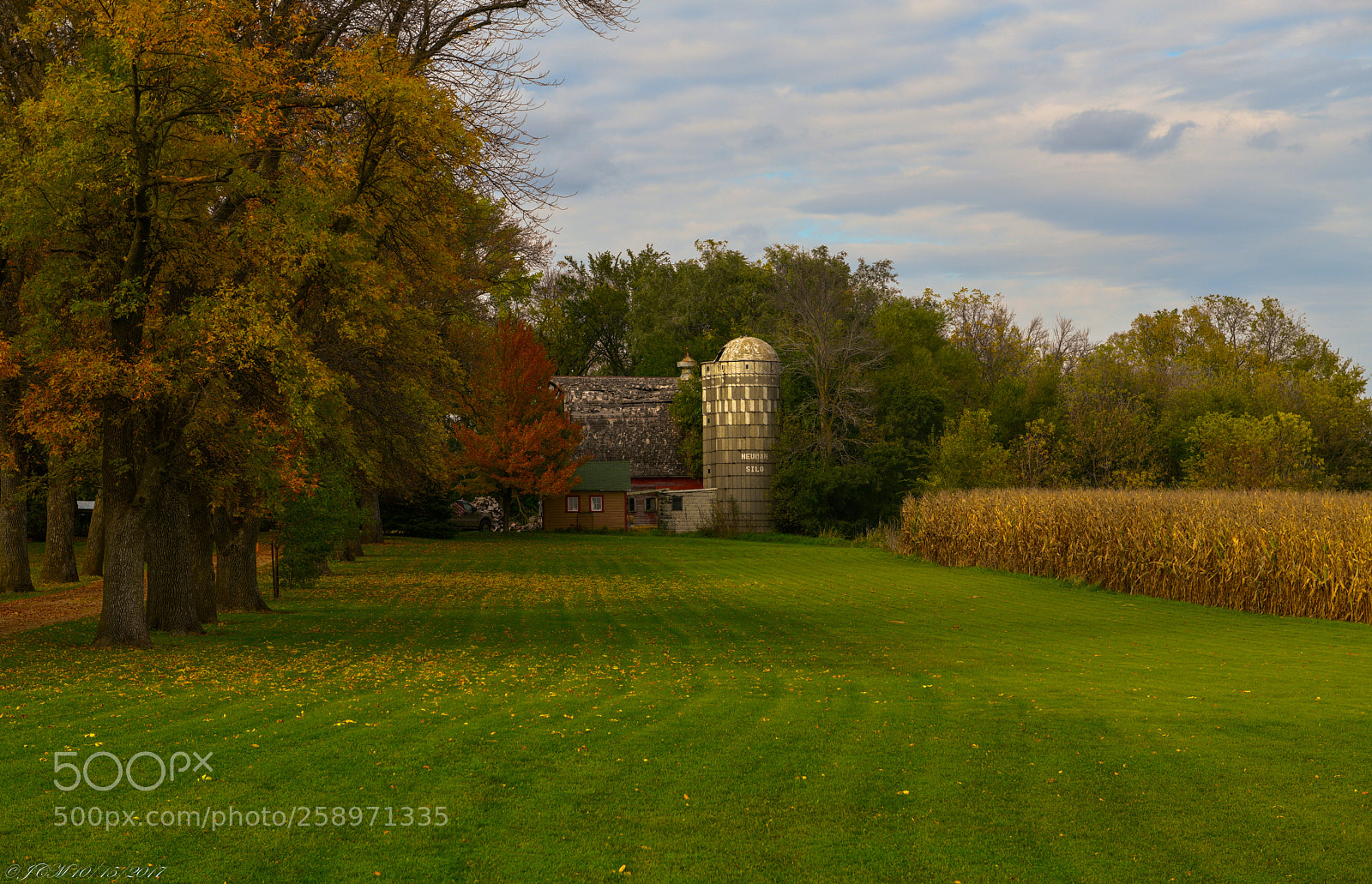 Nikon D850 sample photo. Fall farm life 2017: 1 photography