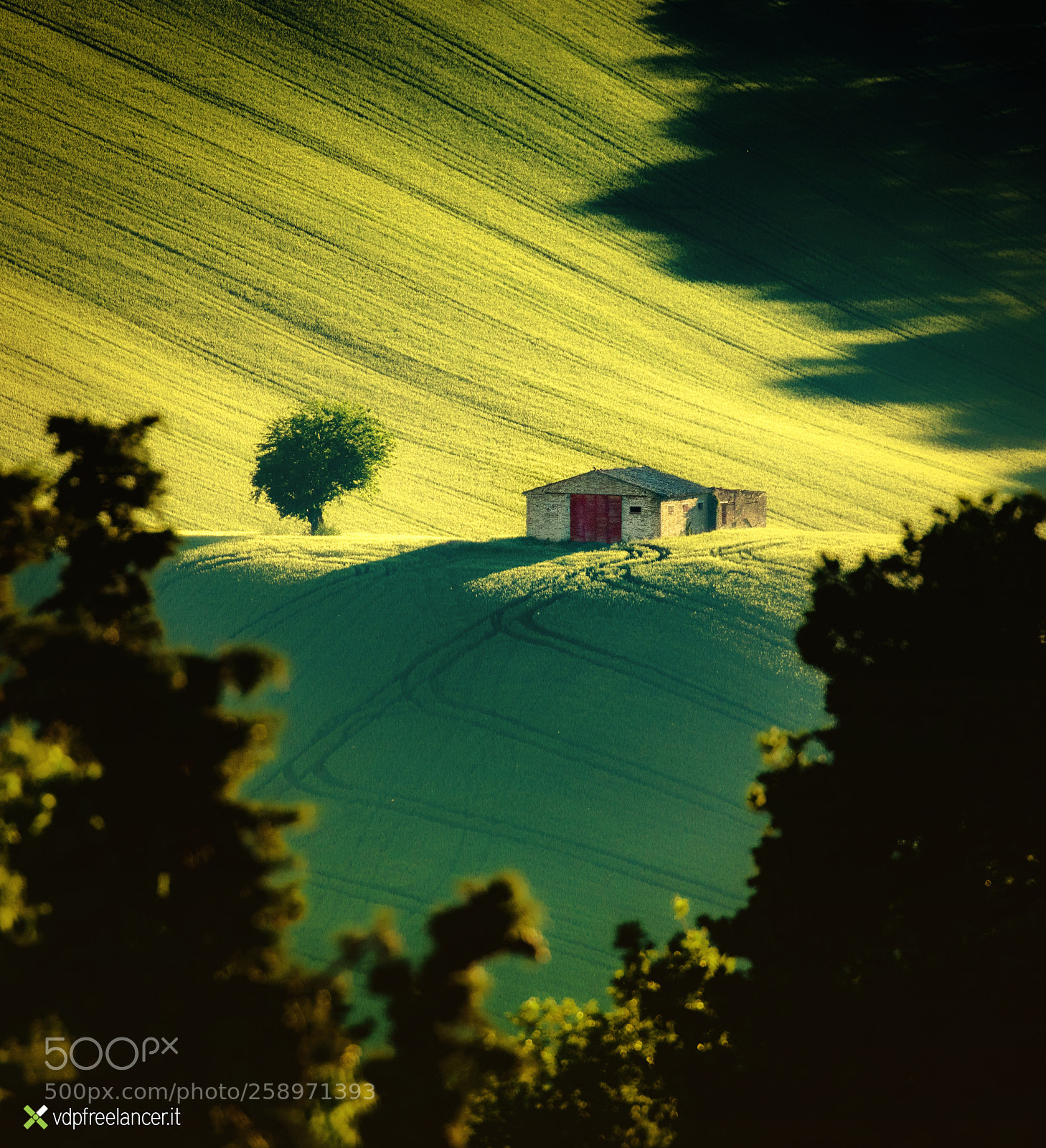 Canon EOS 5DS sample photo. Campagne marchigiane photography