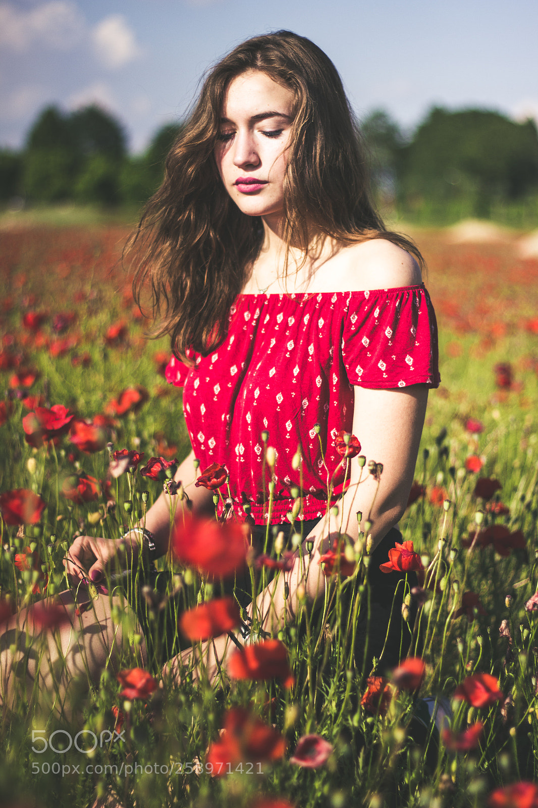 Canon EOS 600D (Rebel EOS T3i / EOS Kiss X5) sample photo. Poppy photography