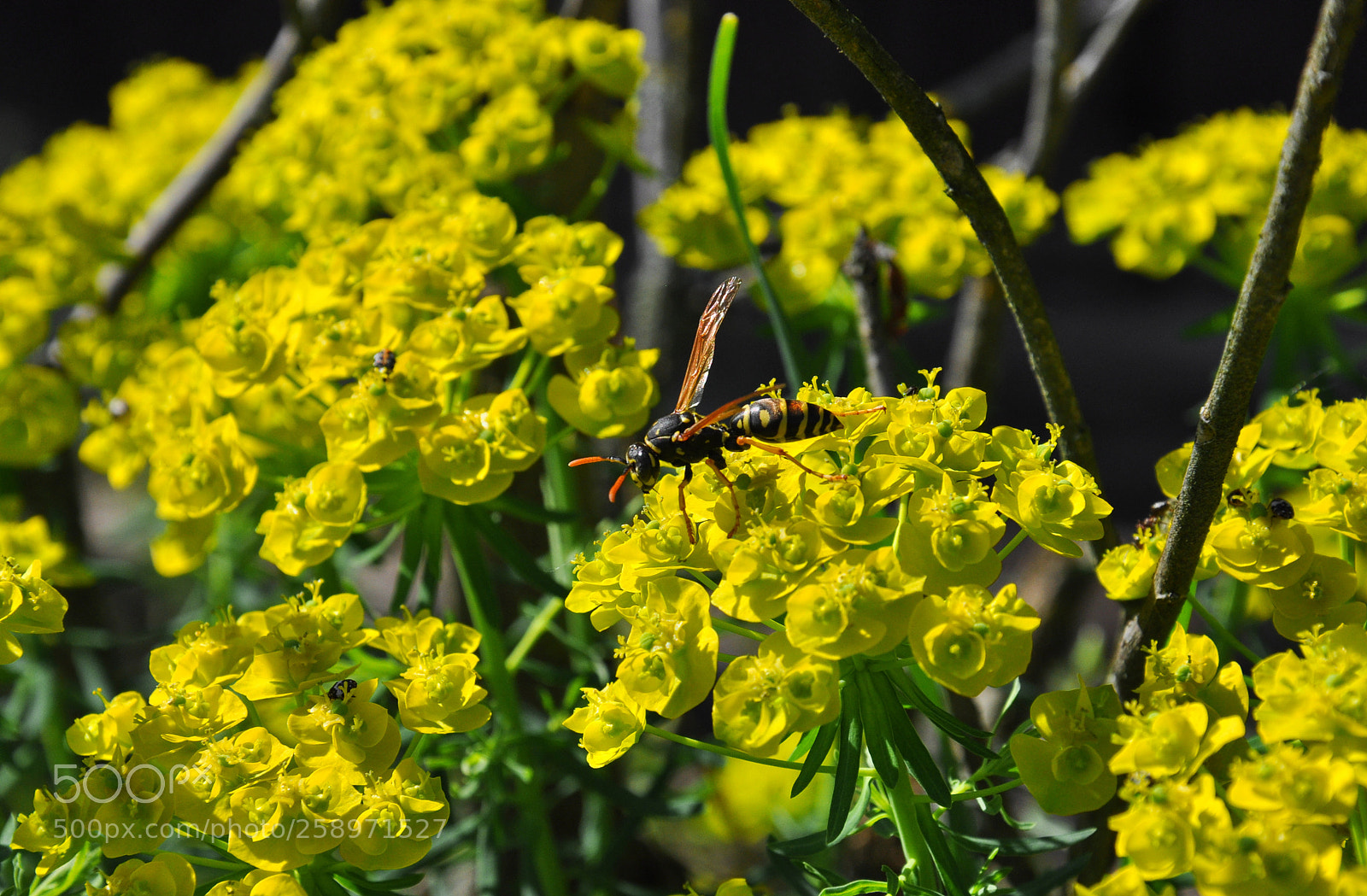 Nikon D90 sample photo. Untitled photography