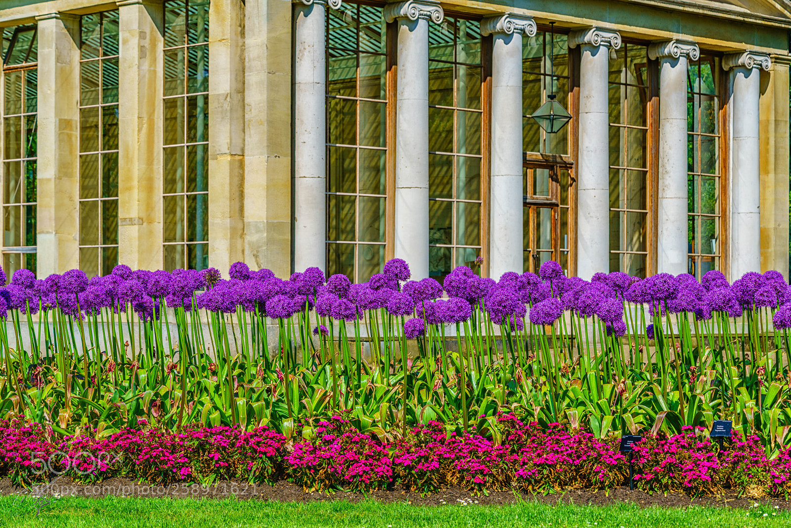 Sony a7R II sample photo. Kew garden photography