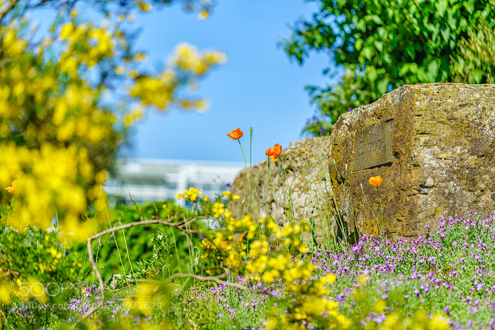 Sony a7R II sample photo. Rock garden photography