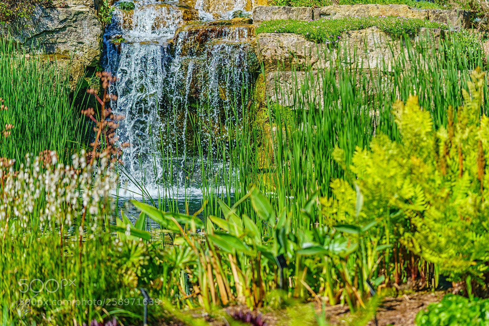 Sony a7R II sample photo. Water fall photography