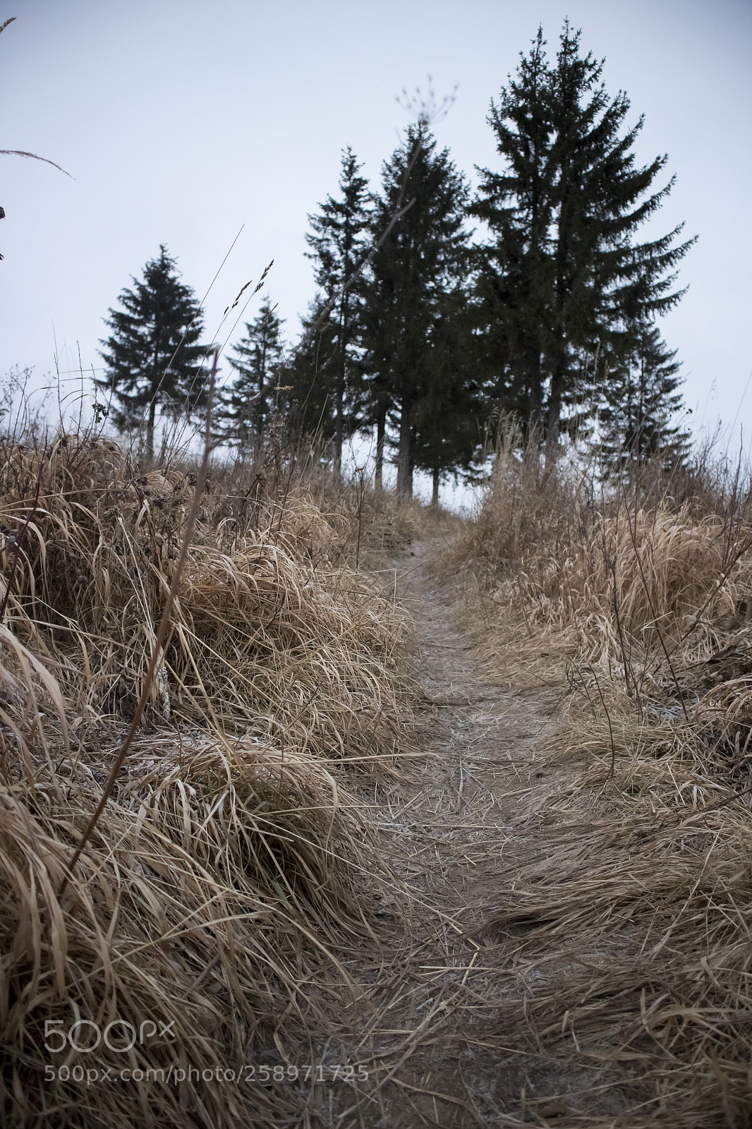 Canon EOS M10 sample photo. Trail to the hill photography