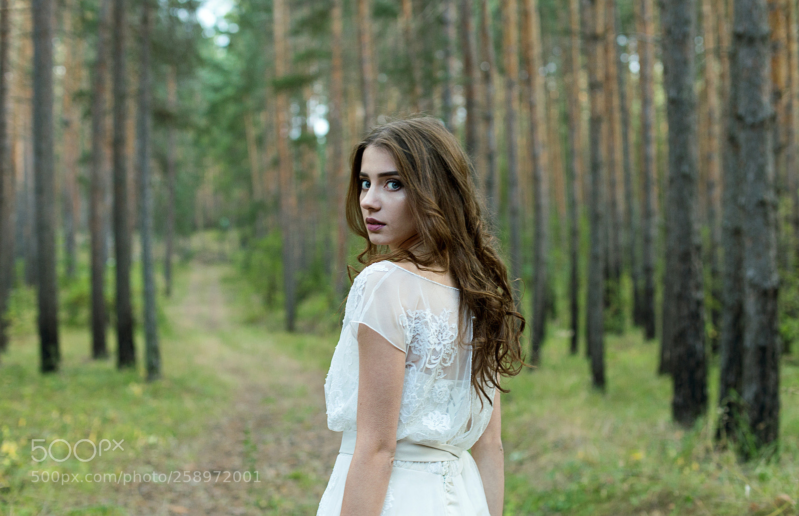 Canon EOS 6D sample photo. Img photography