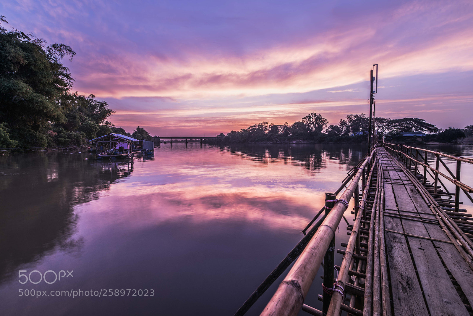 Nikon D810 sample photo. Violet morning photography