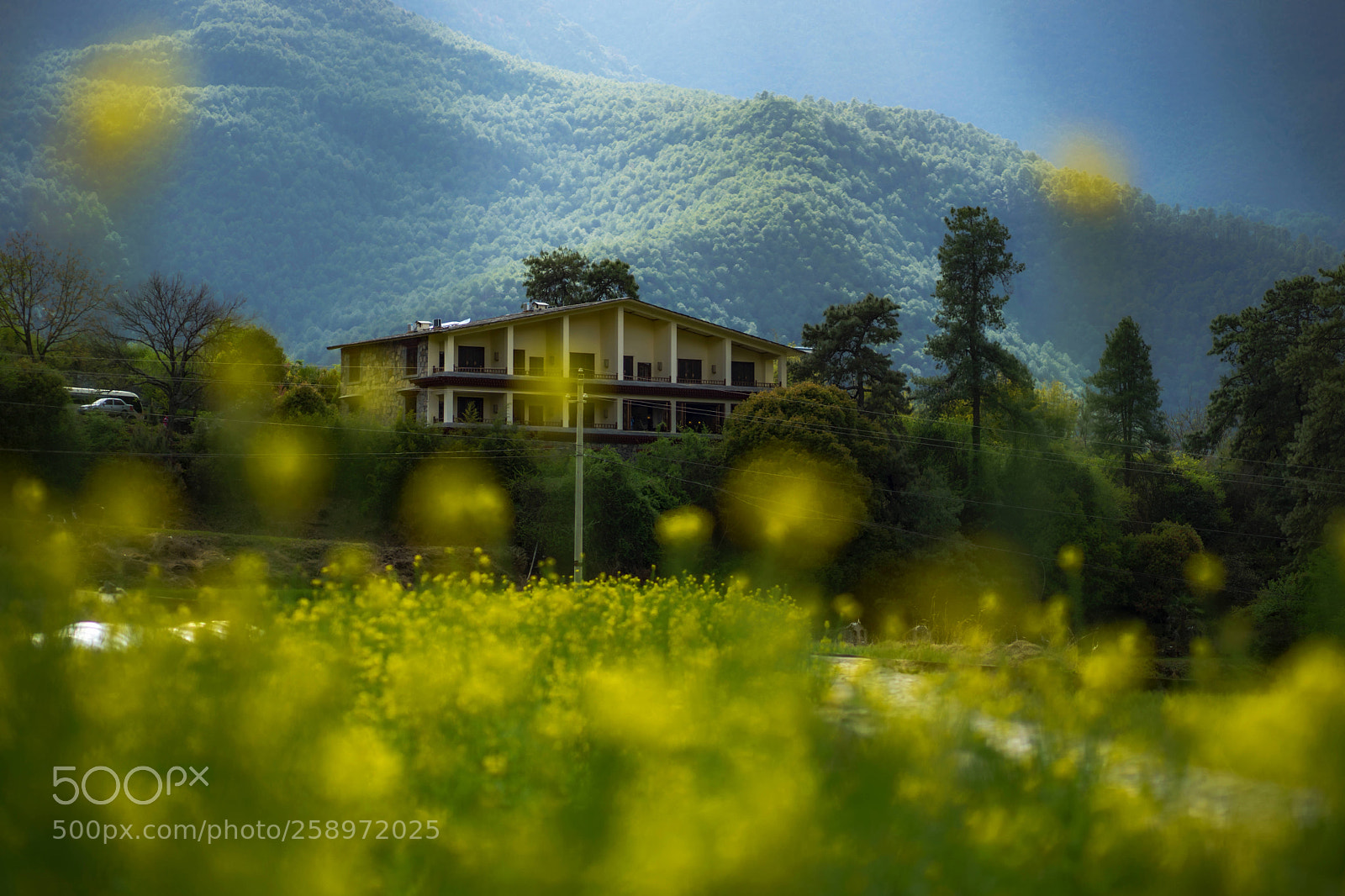 Sony a7 II sample photo. The hotel in flowers photography