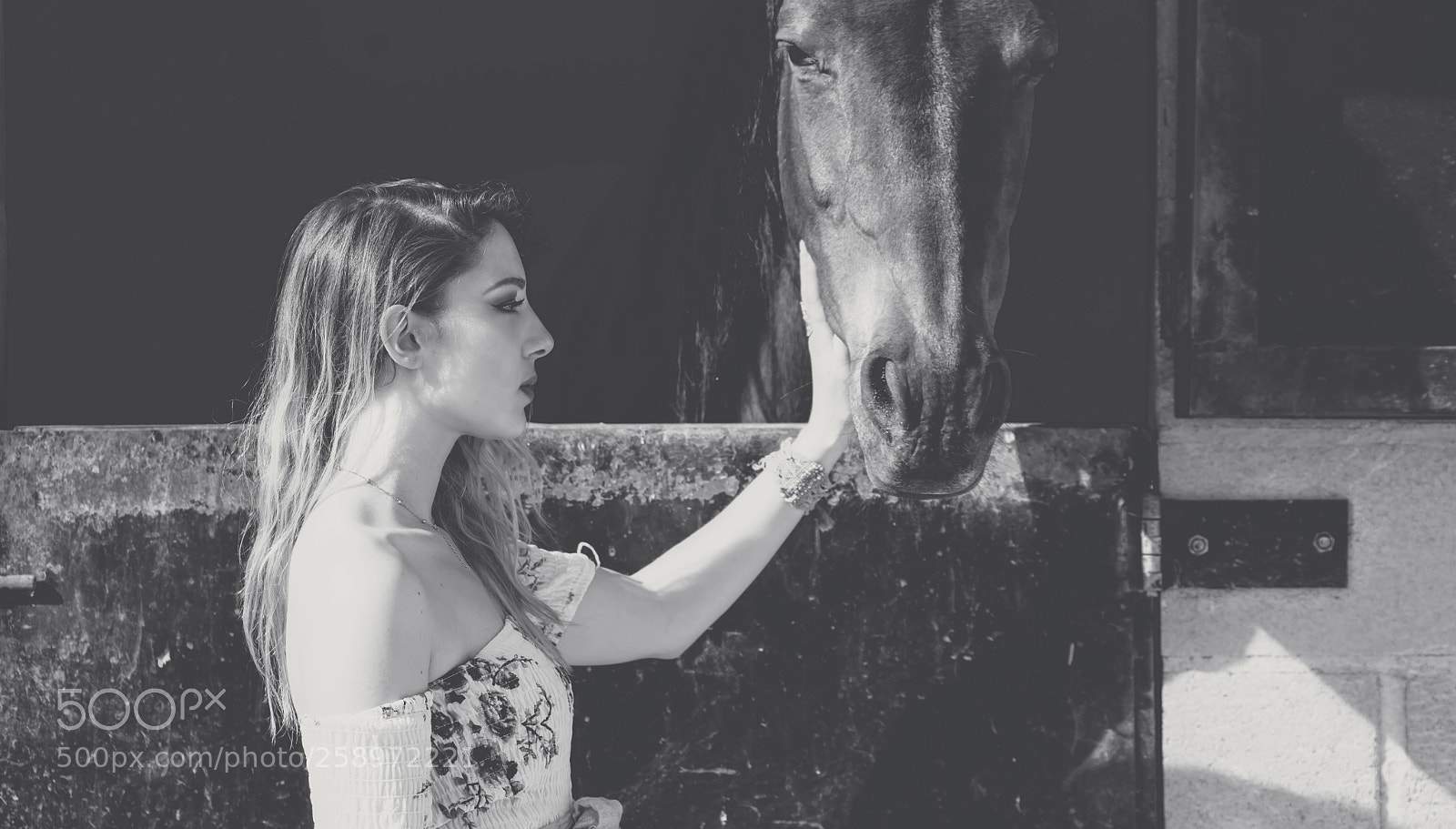 Nikon D810 sample photo. The horse whisperer photography