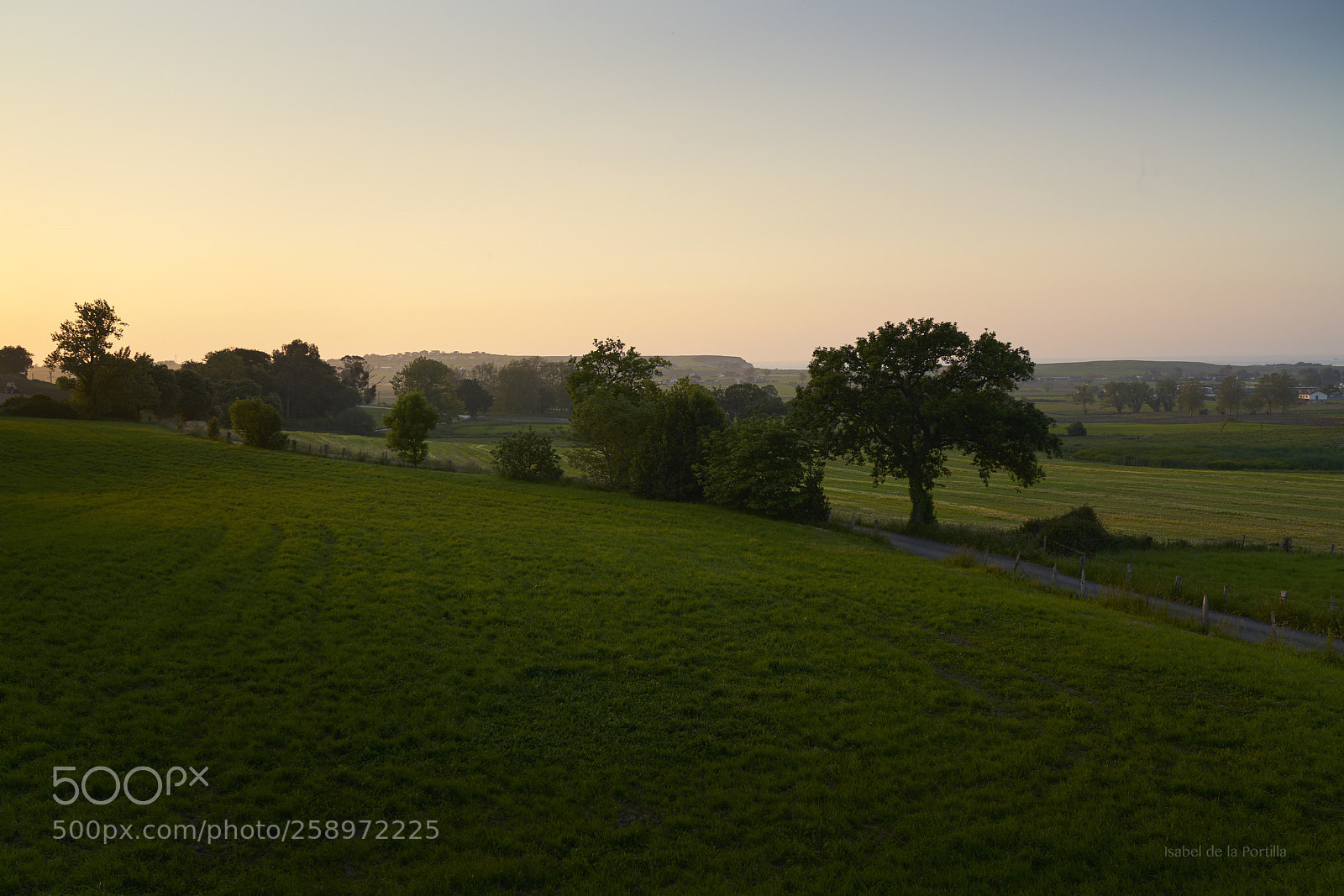 Sony a7R II sample photo. Yesterday last beautiful light. photography