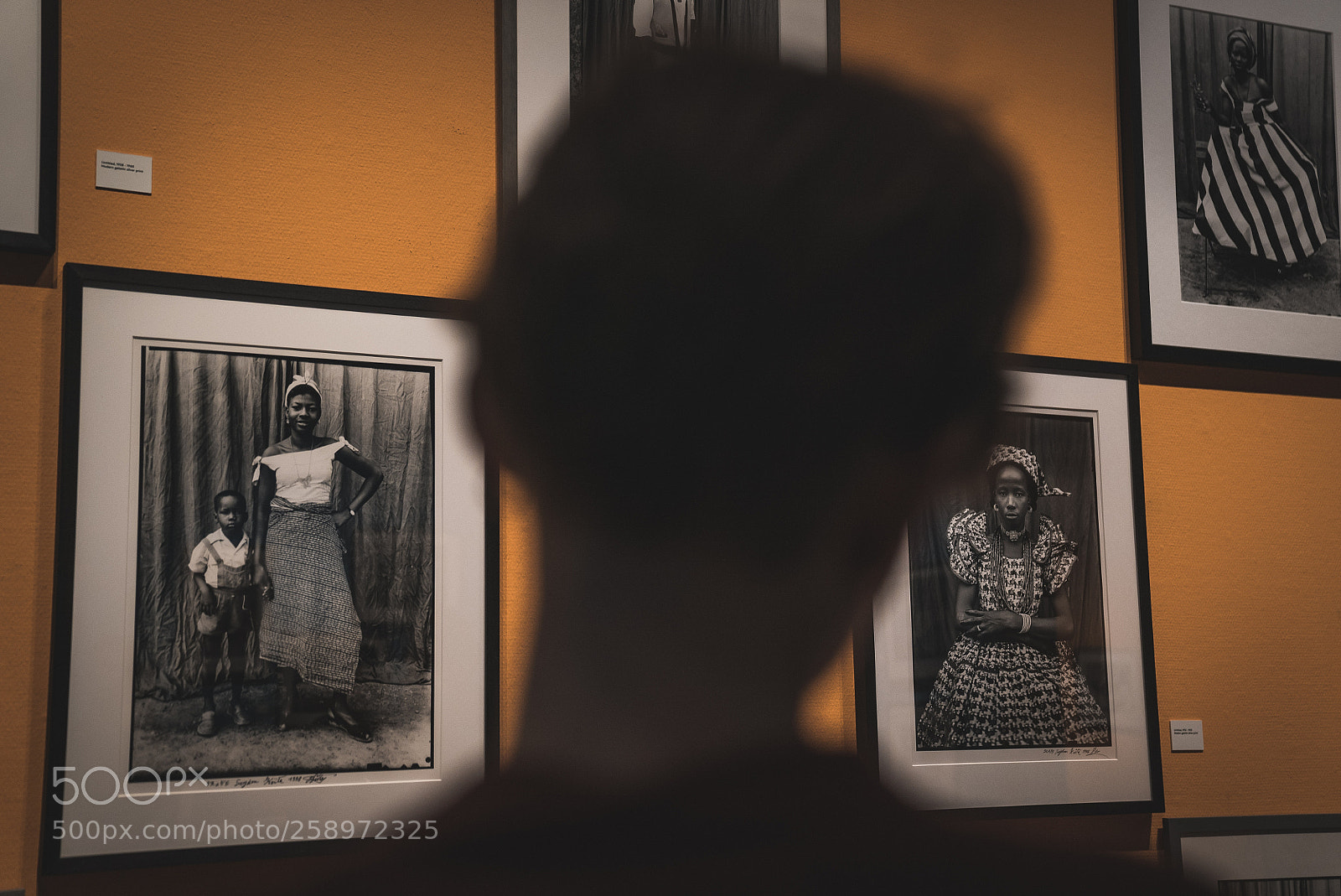 Sony a7S II sample photo. Visitor at foam #1 photography