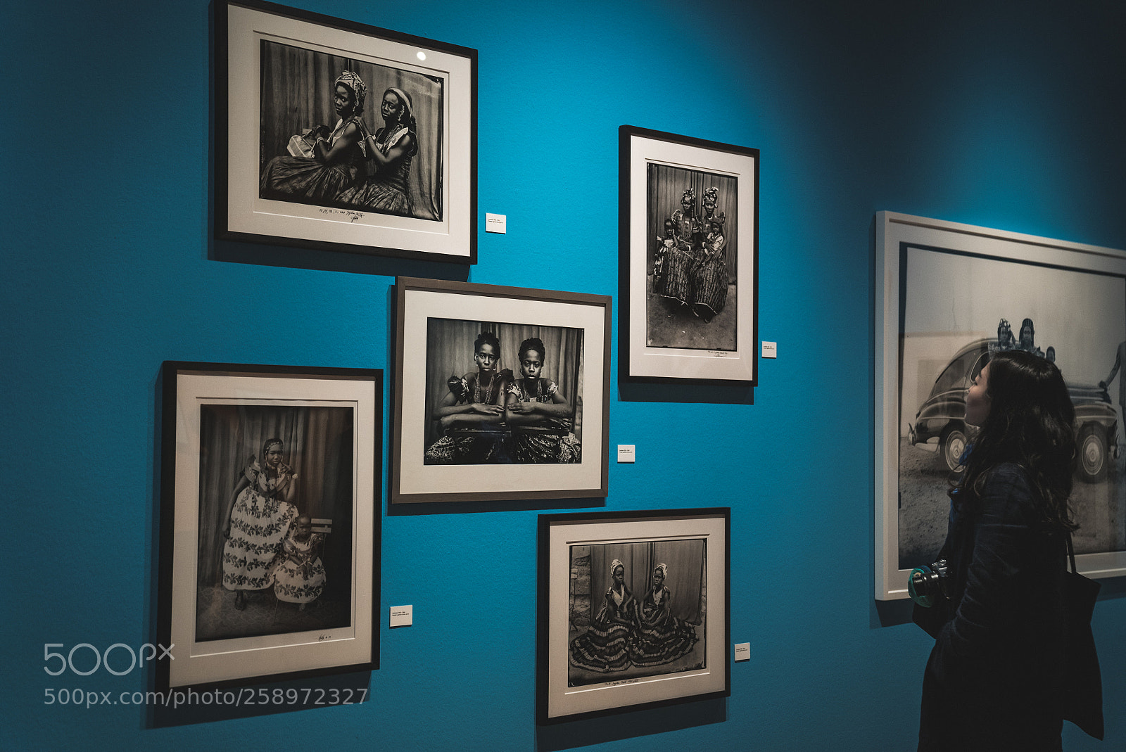 Sony a7S II sample photo. Visitor at foam #2 photography
