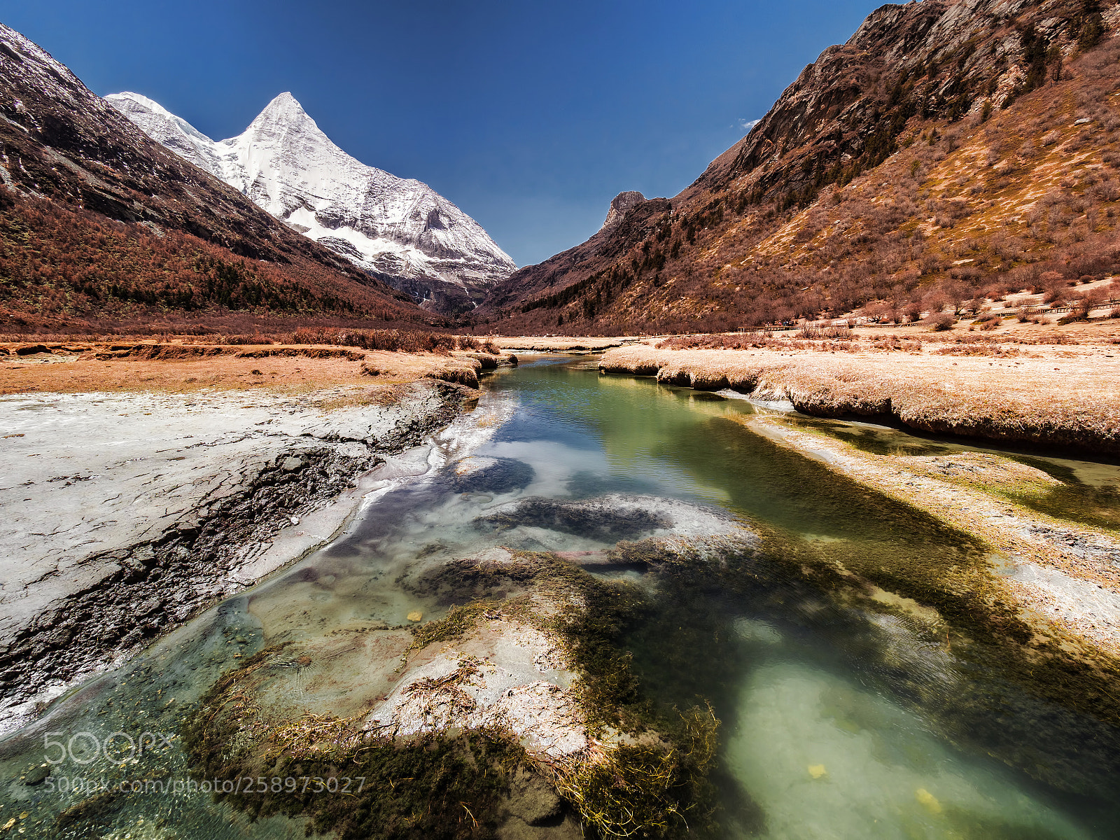 Olympus OM-D E-M1 Mark II sample photo. Yading nature reserve of photography
