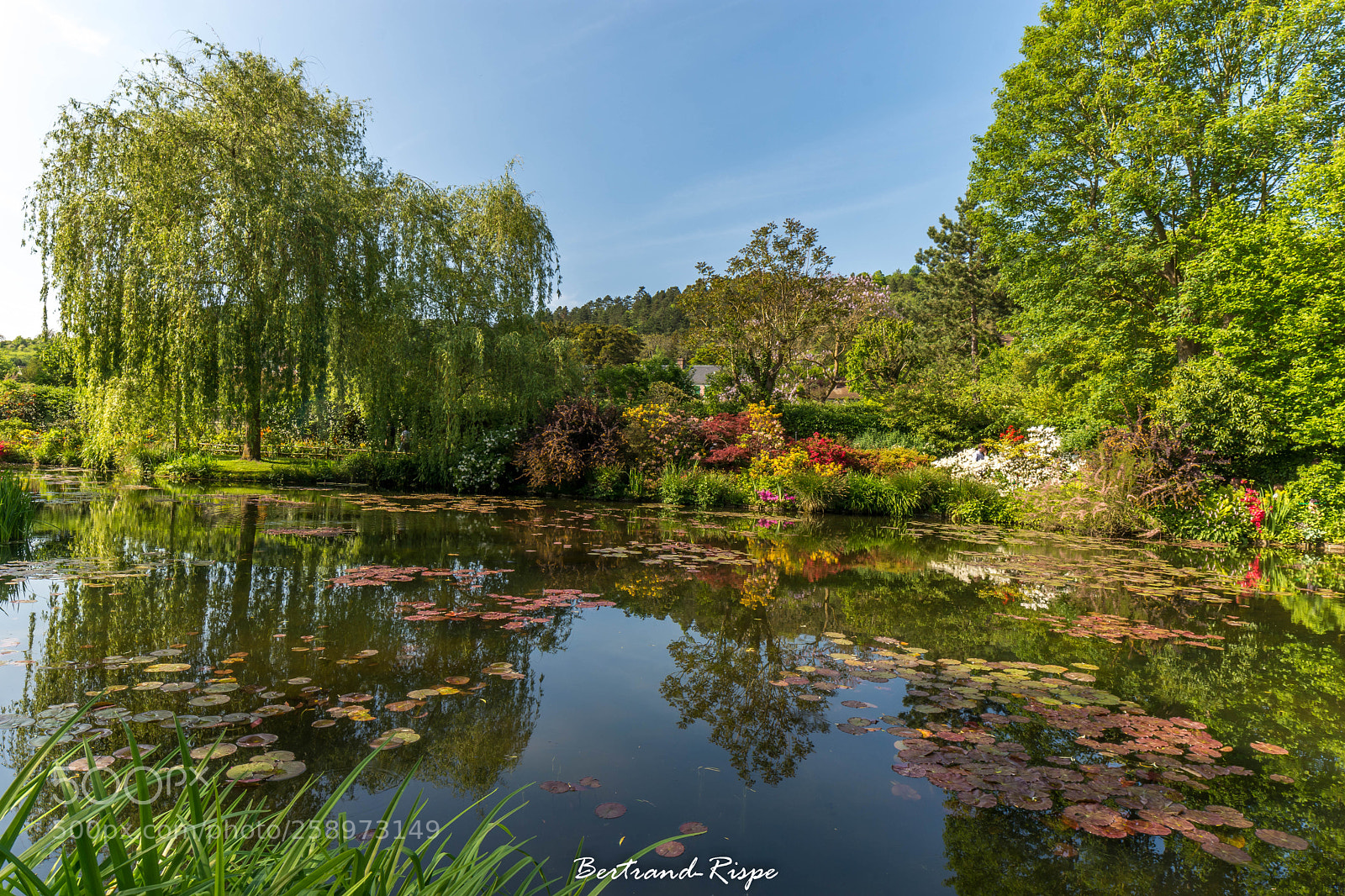 Nikon D7200 sample photo. Couleurs et reflets photography