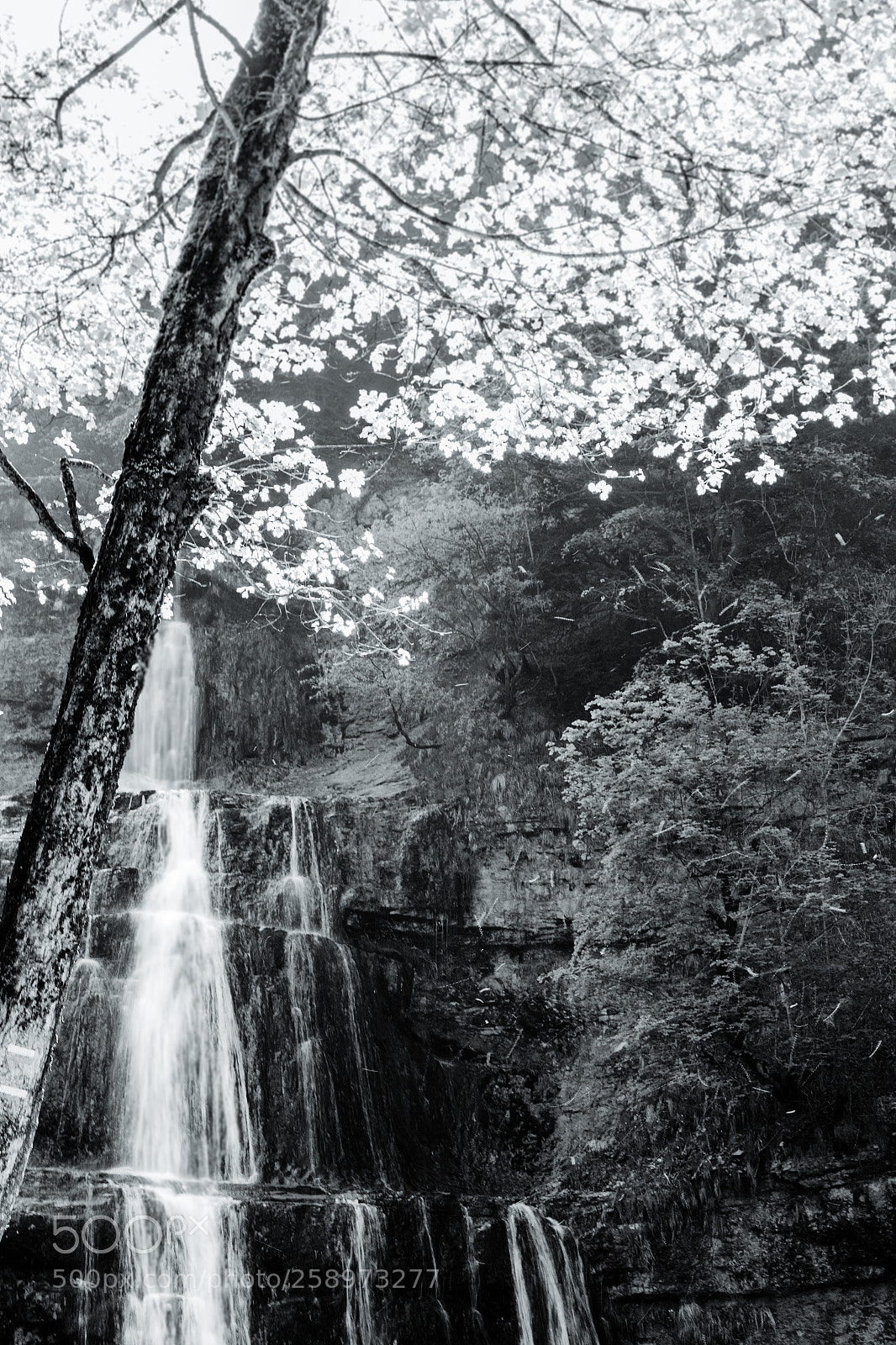 Canon EOS 6D sample photo. Cascades du h rissons photography