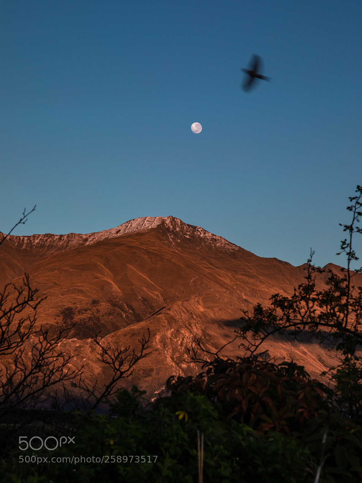 Canon EOS 5D Mark IV sample photo. Roys peak photography