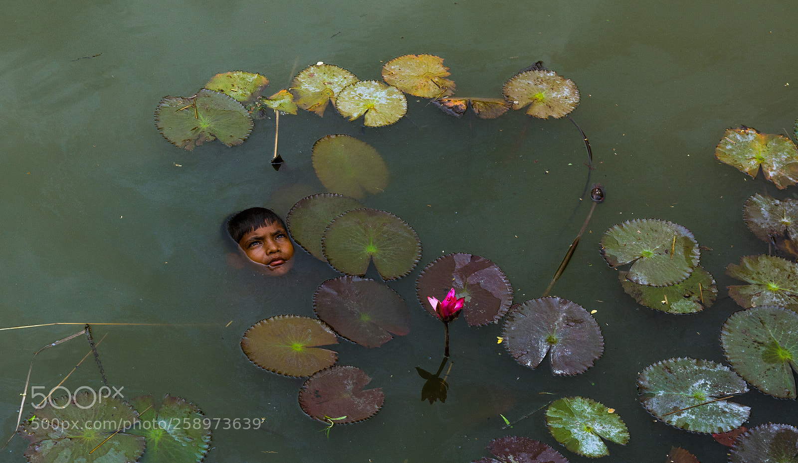 Nikon D7100 sample photo. Summer relief photography