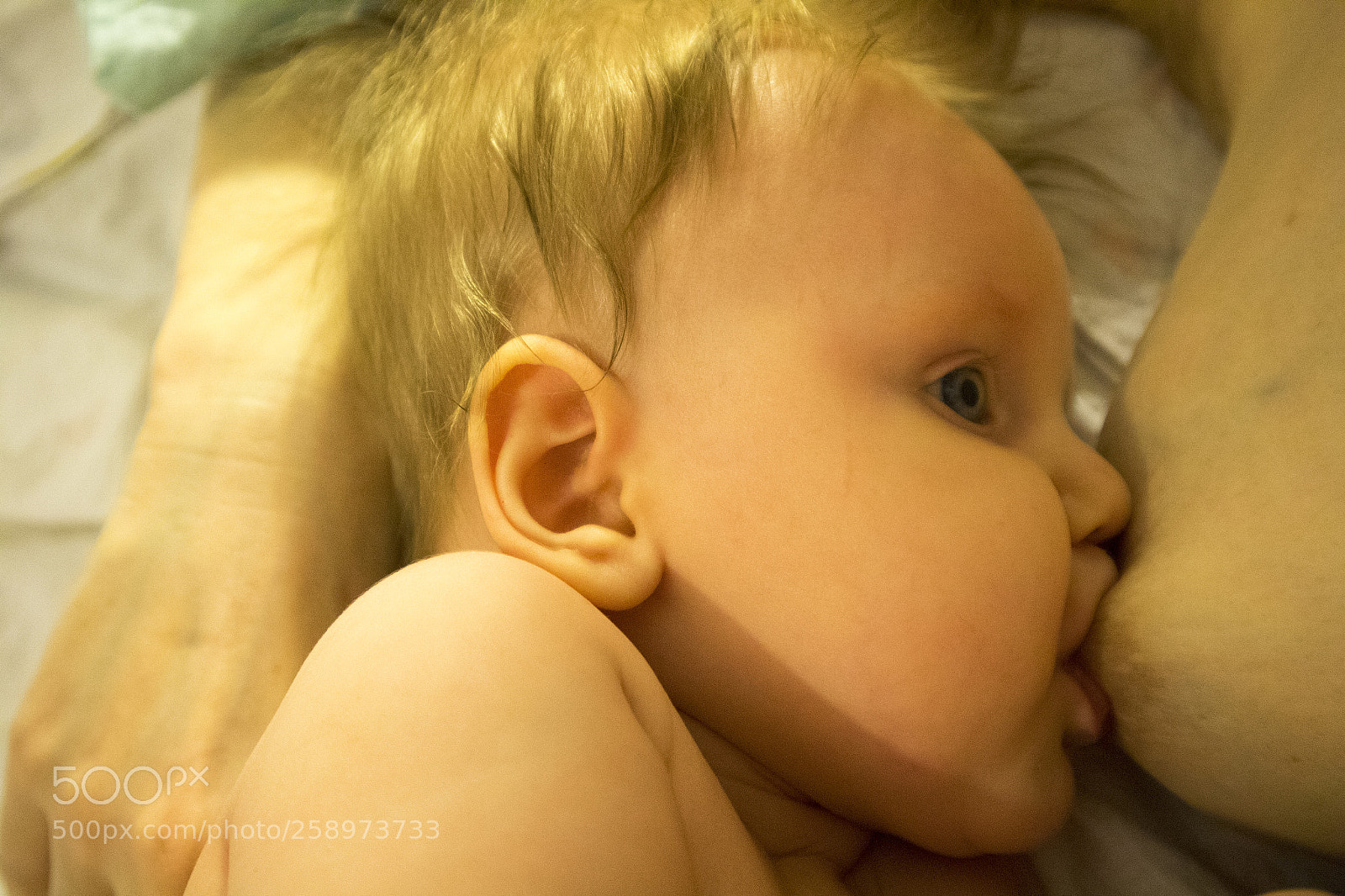Canon EOS M10 sample photo. Breast feeding photography