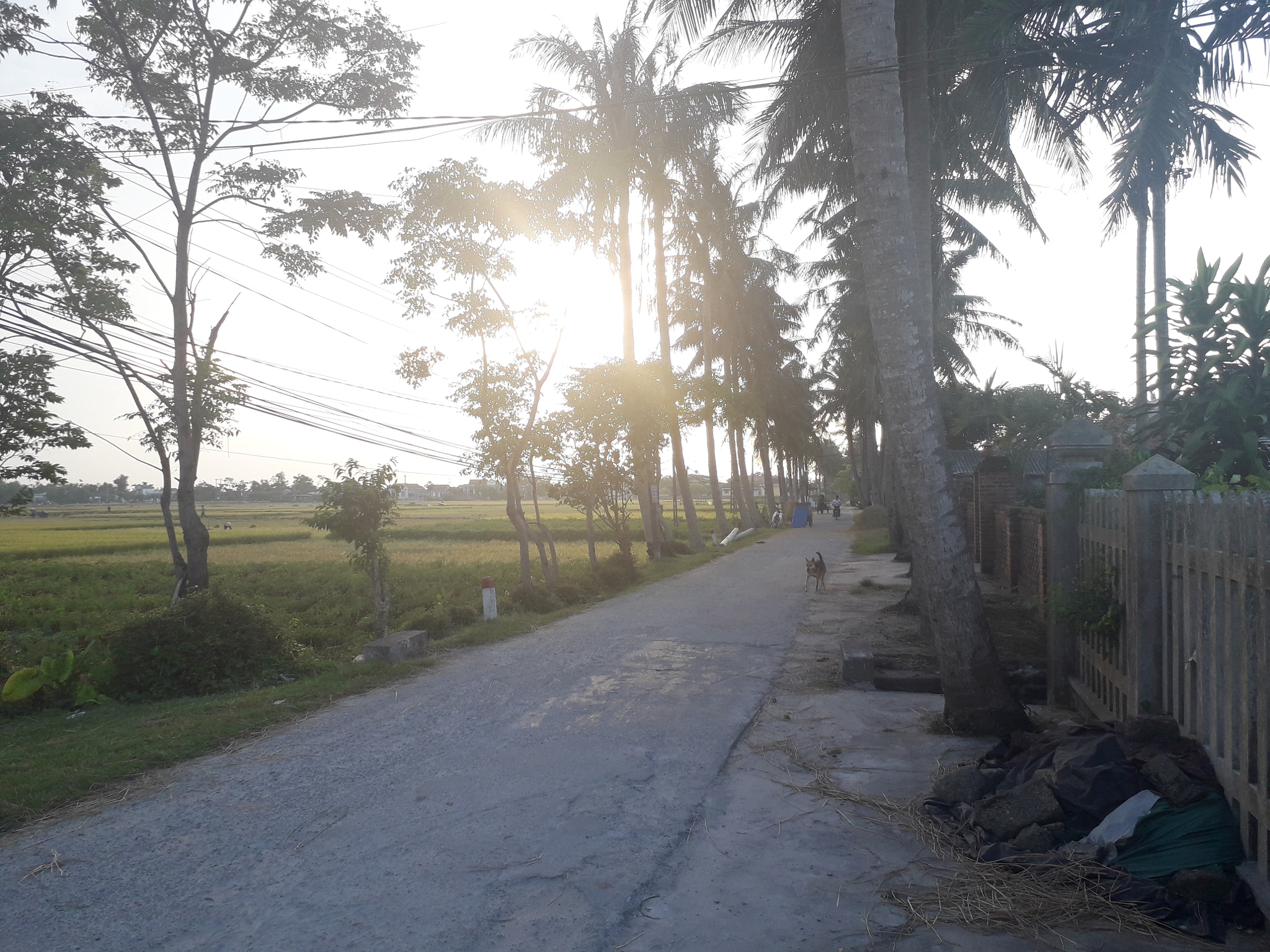 Samsung Galaxy J3 Pro sample photo. Điền hòa - thế chí tây - huế - bigatm photography