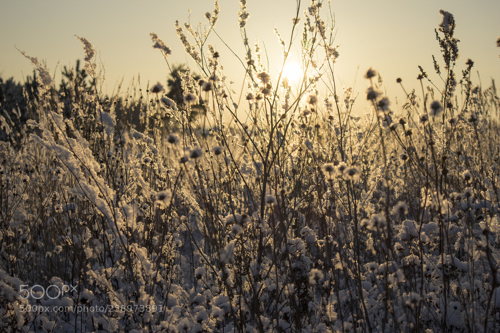 Canon EOS M10 sample photo. Winter nature sunset photography