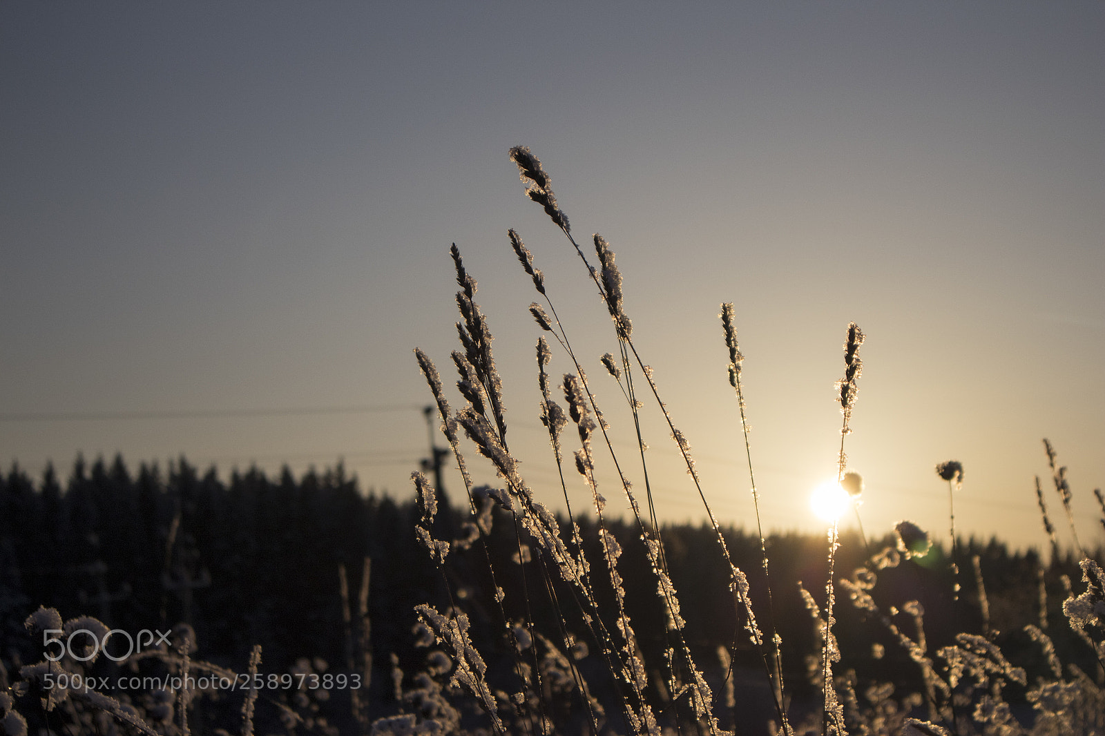 Canon EOS M10 sample photo. Winter sunset photography
