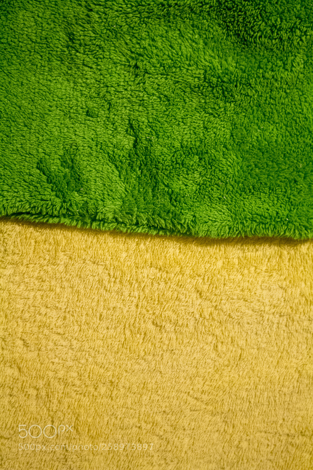 Canon EOS M10 sample photo. Yellow green background photography