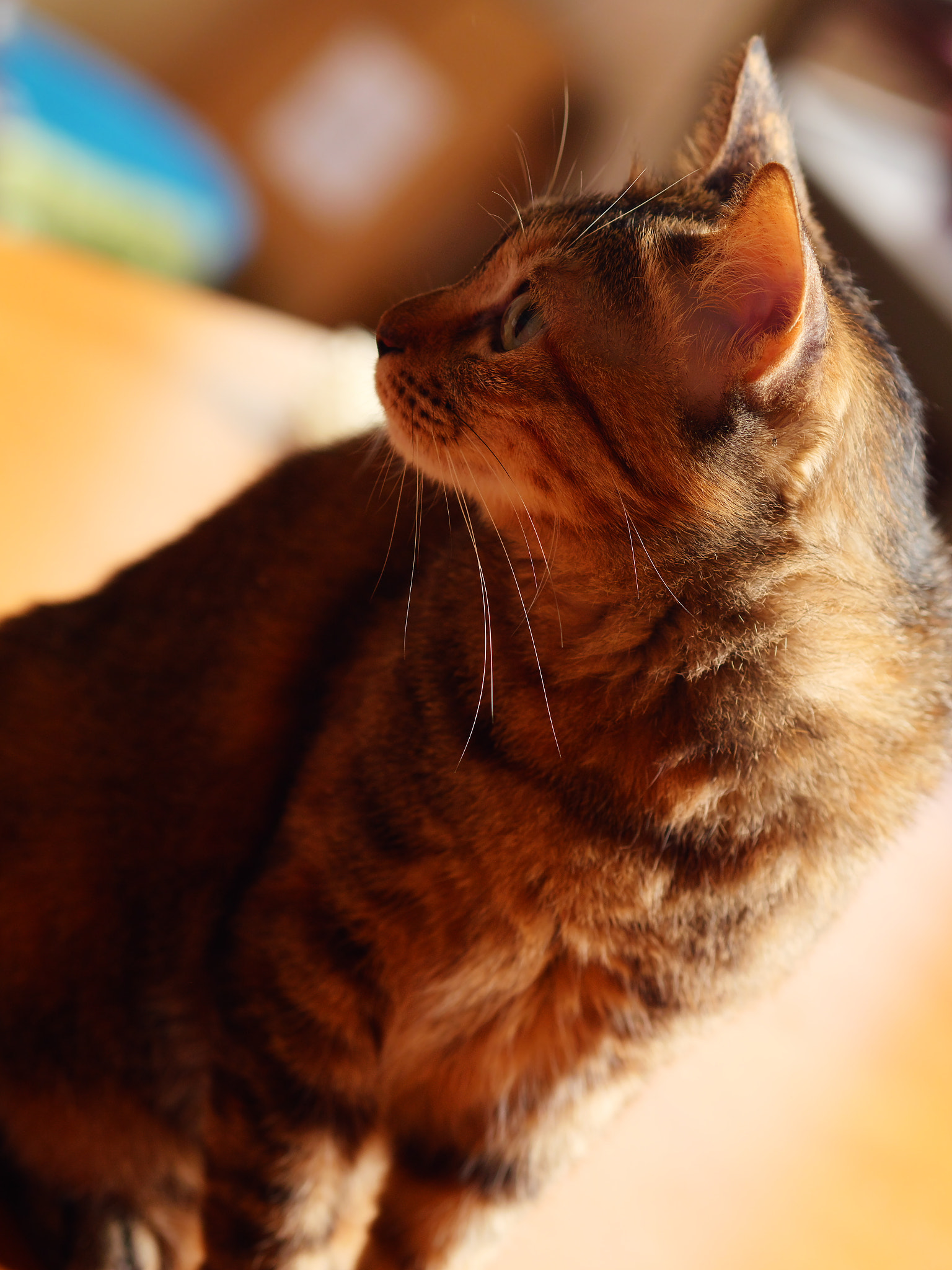 Panasonic DC-GX7MK3 sample photo. Can't wait for lunch photography