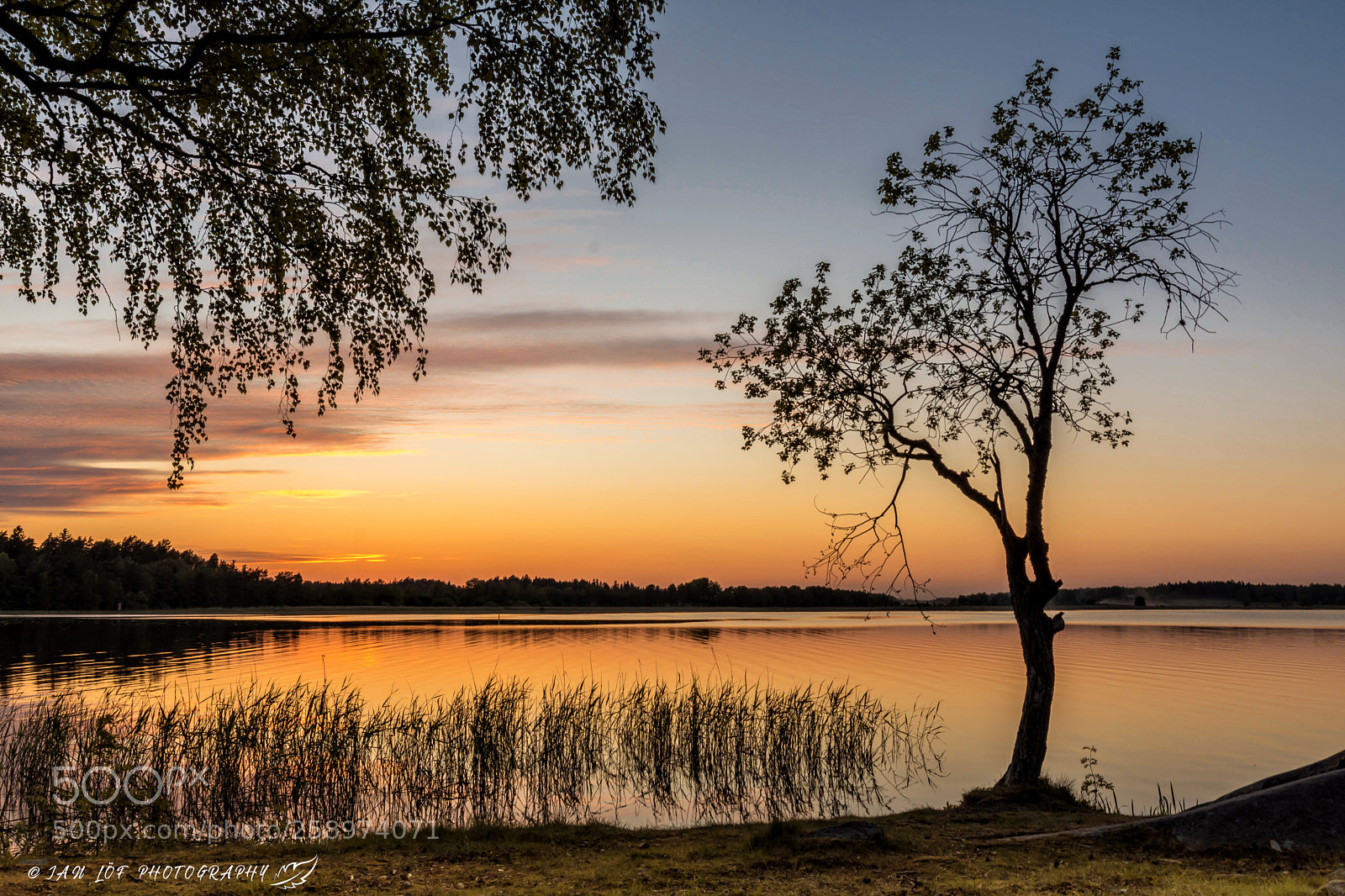 Nikon D7200 sample photo. Sunset in may photography