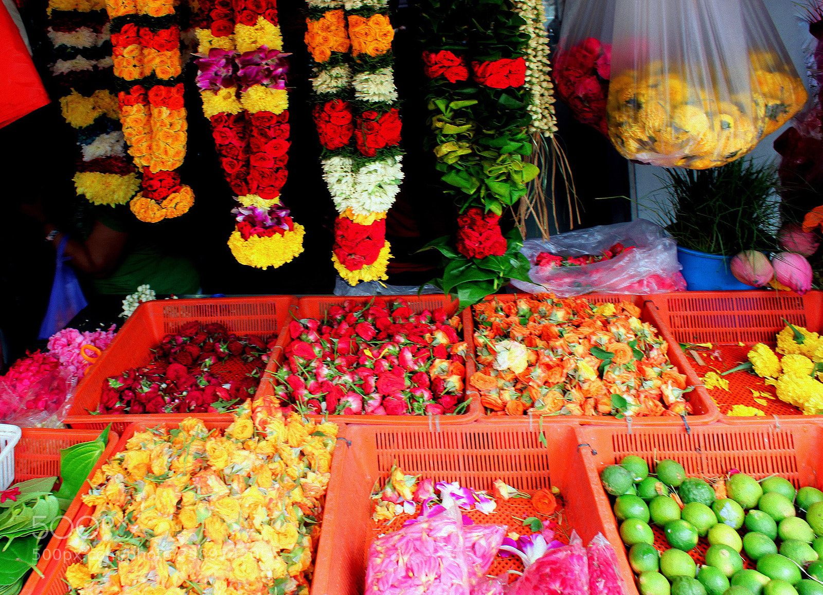Canon EOS 550D (EOS Rebel T2i / EOS Kiss X4) sample photo. Colors of india  photography
